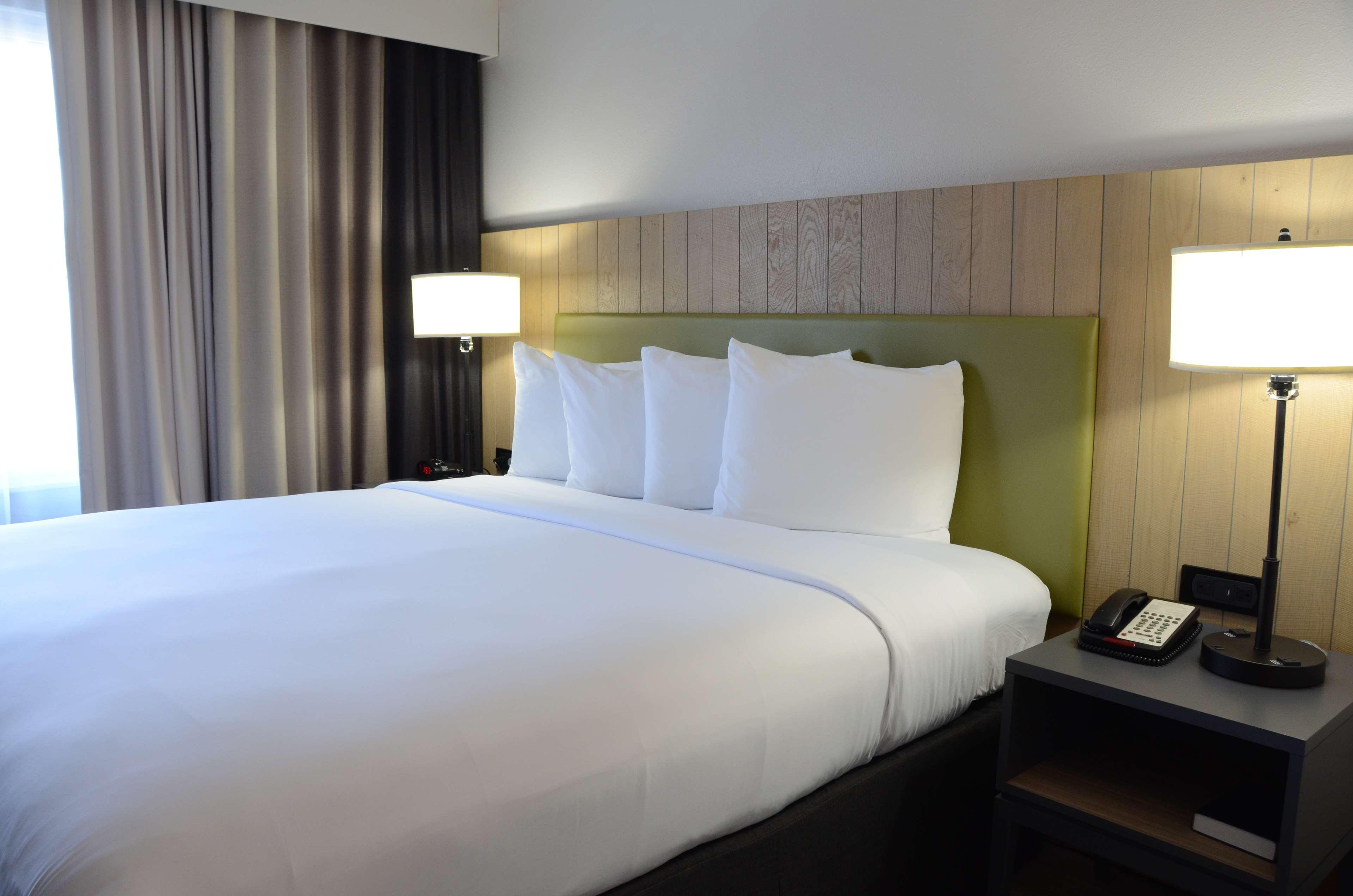 Suite King Bed One Bedroom 