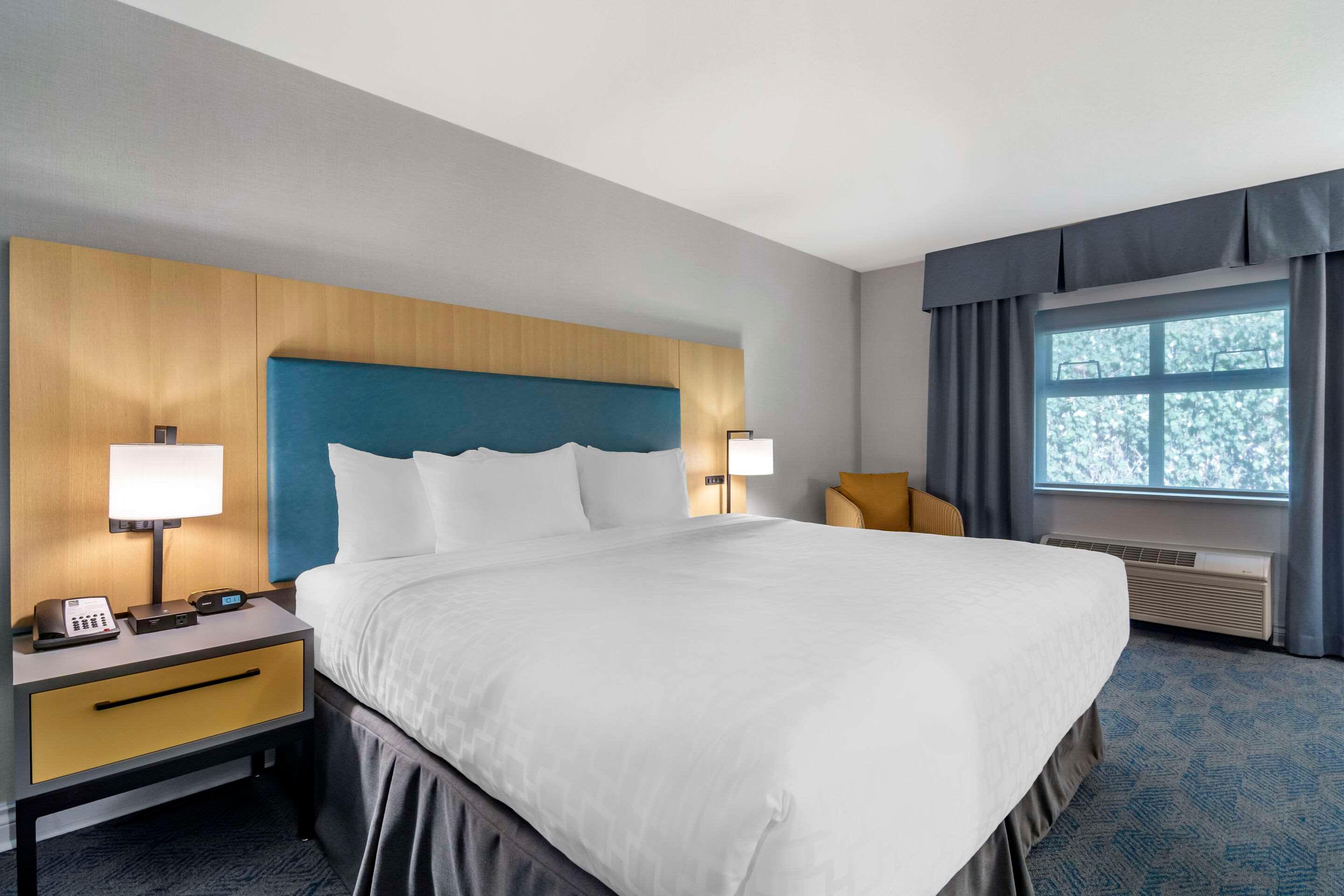 Double King Bed Non Smoking