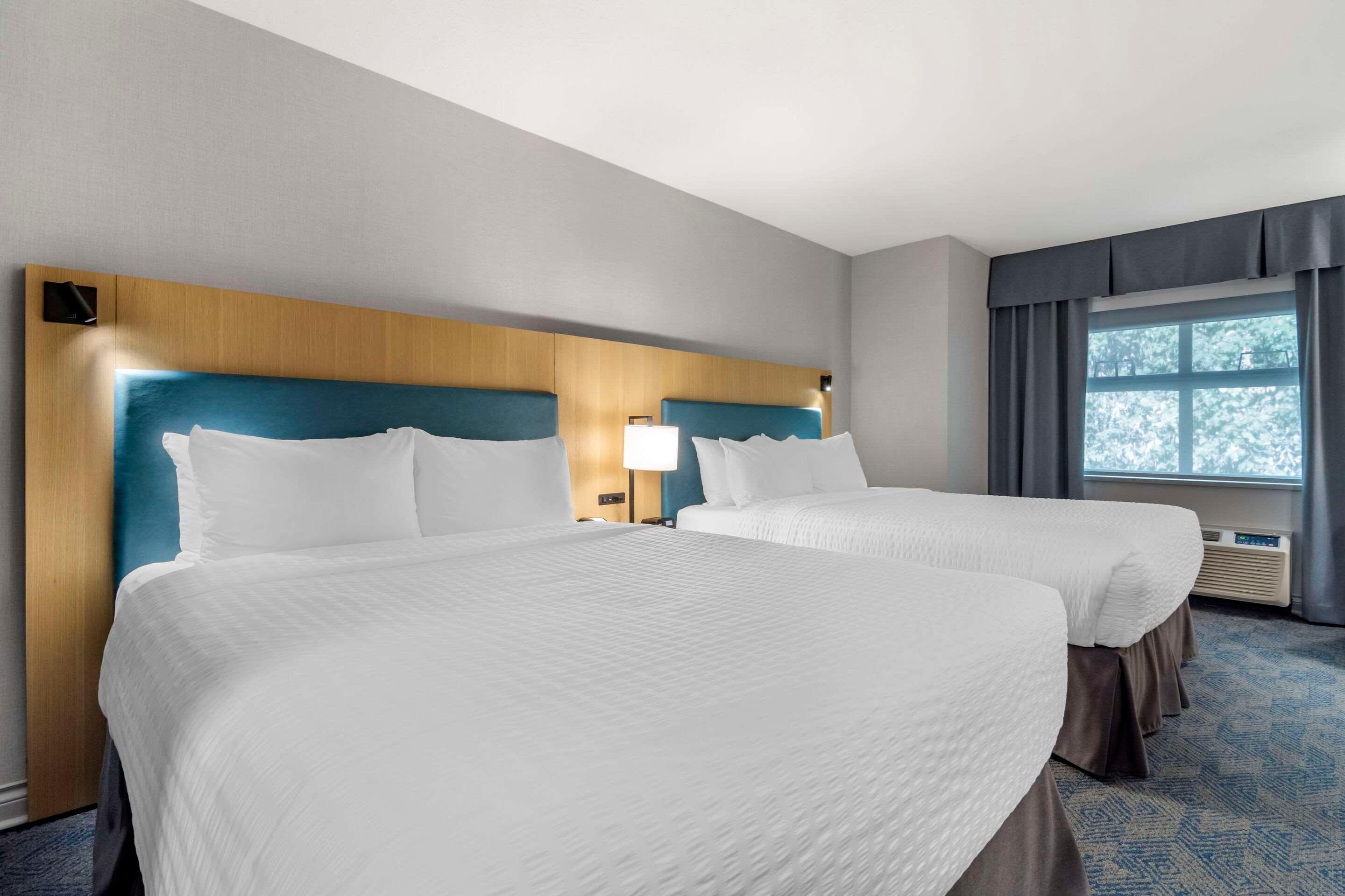 Double Two Queen Beds