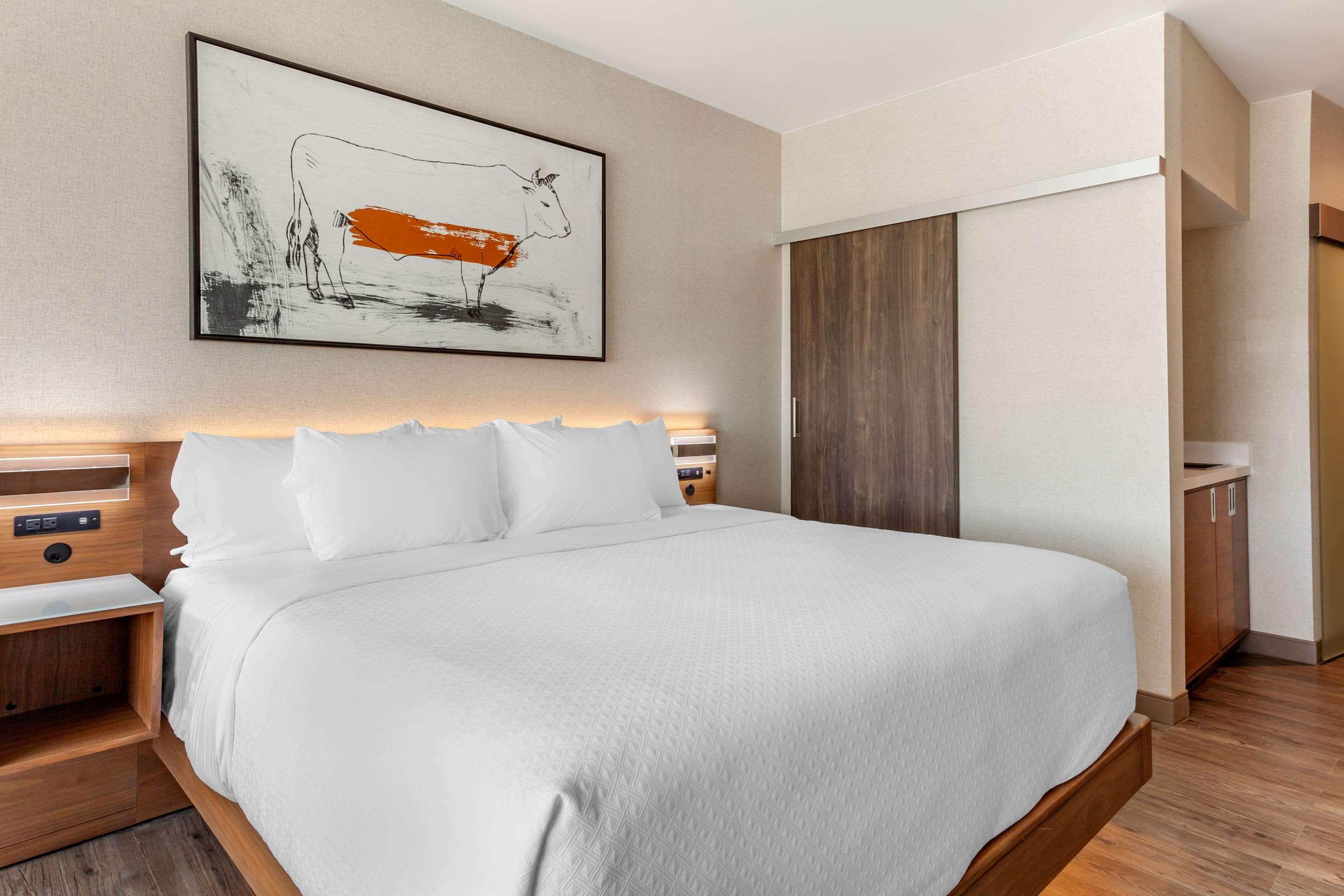 Suite King Bed Non Smoking