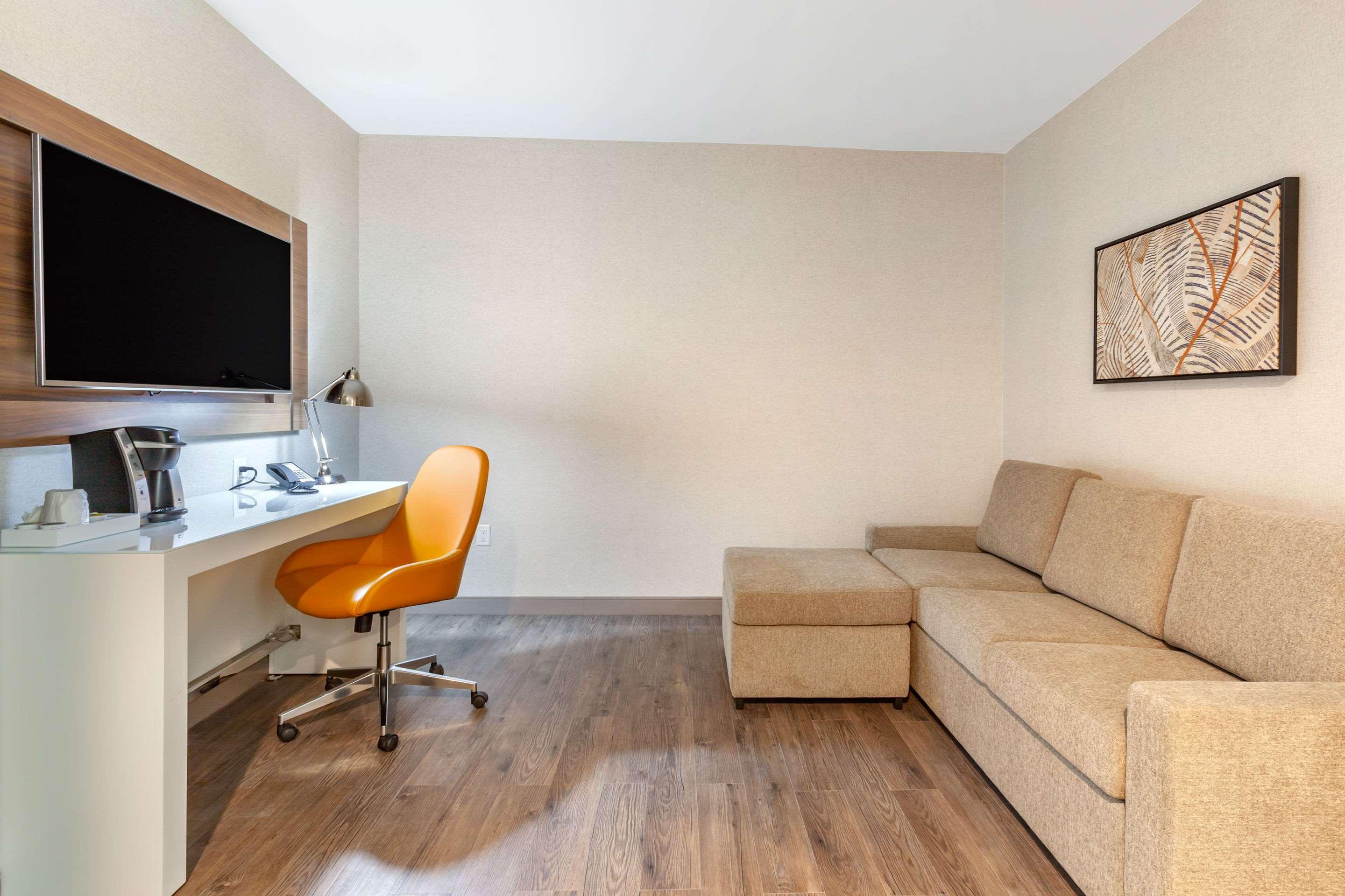 Suite King Bed Non Smoking