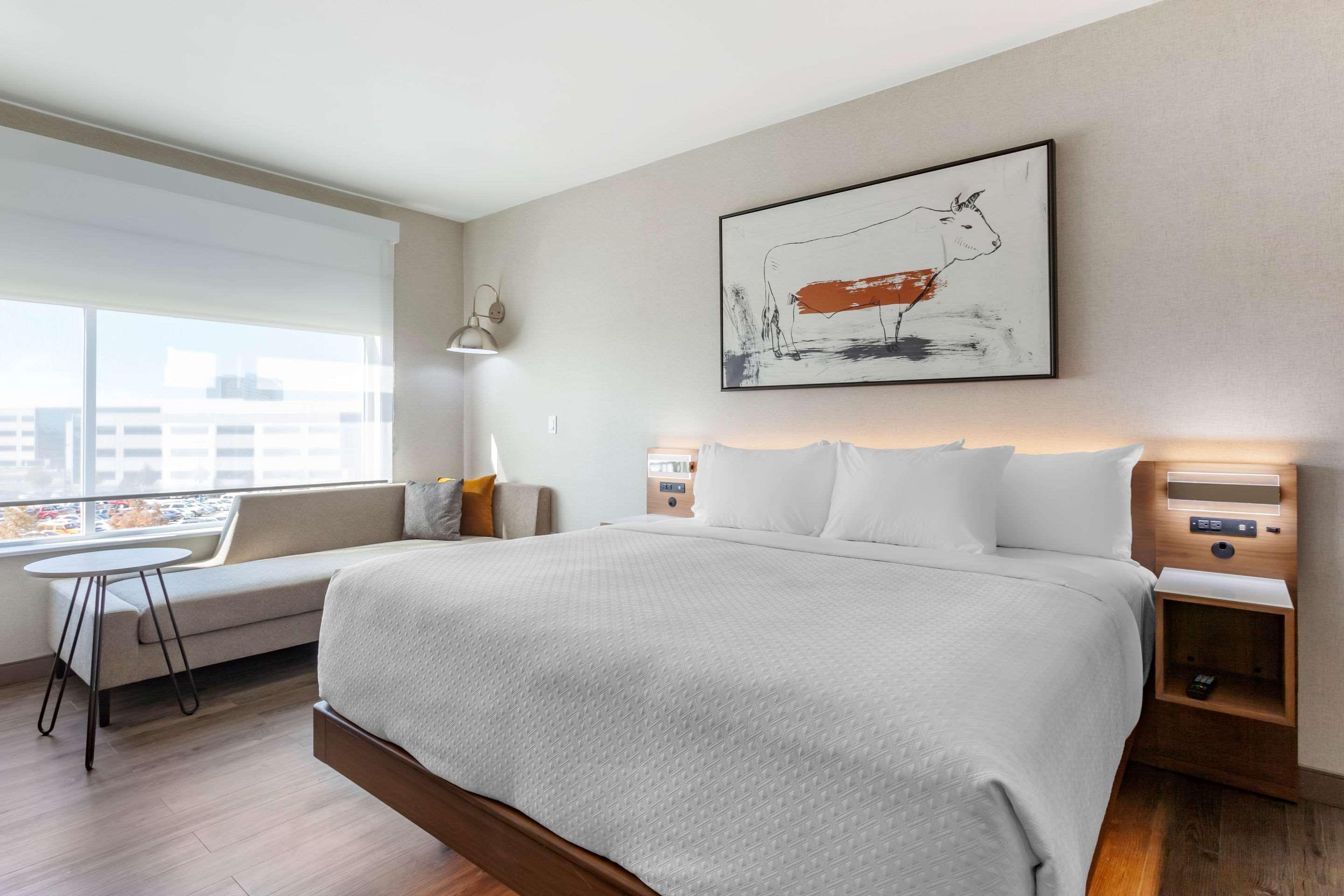 Suite King Bed Non Smoking