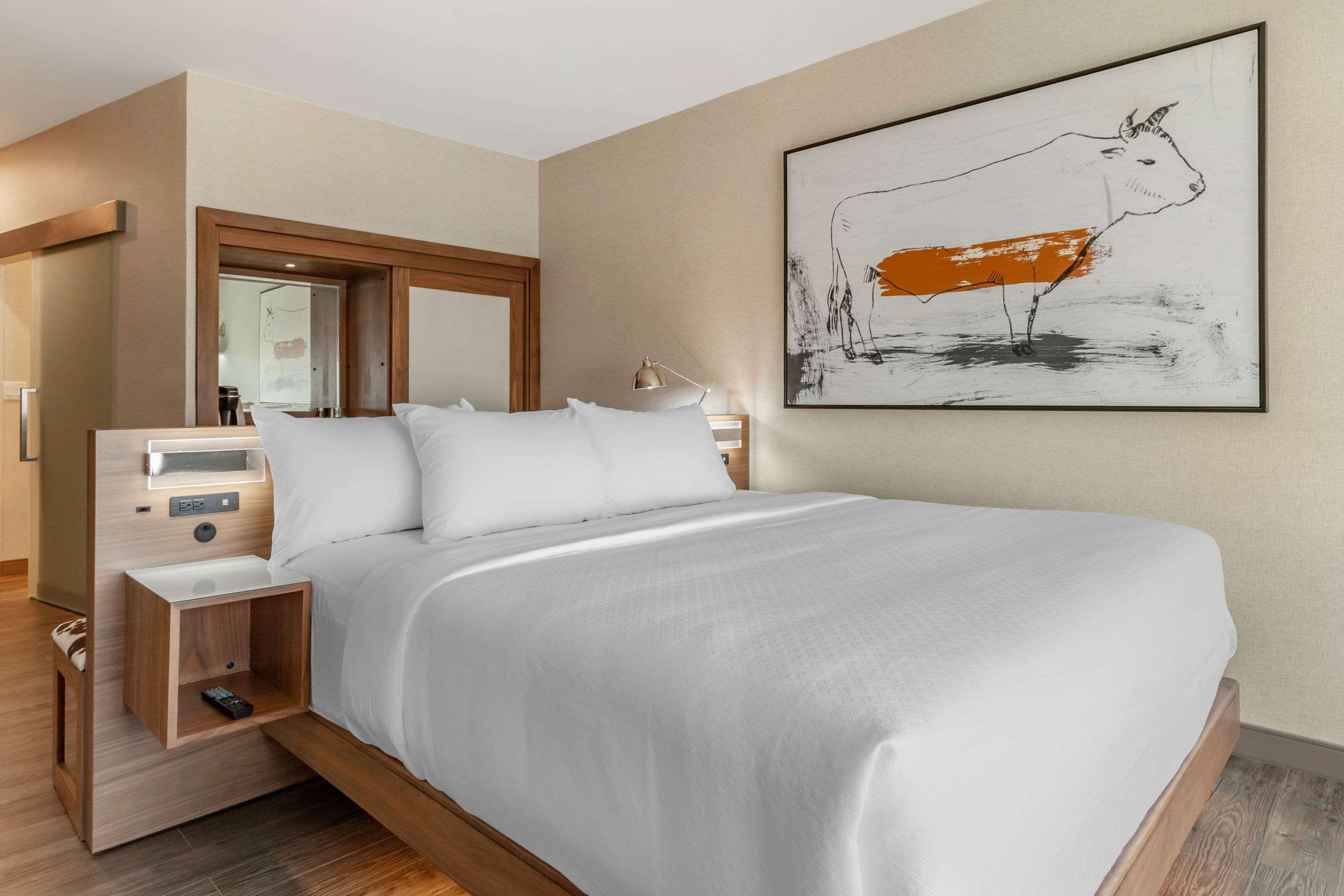 Double King Bed Non Smoking