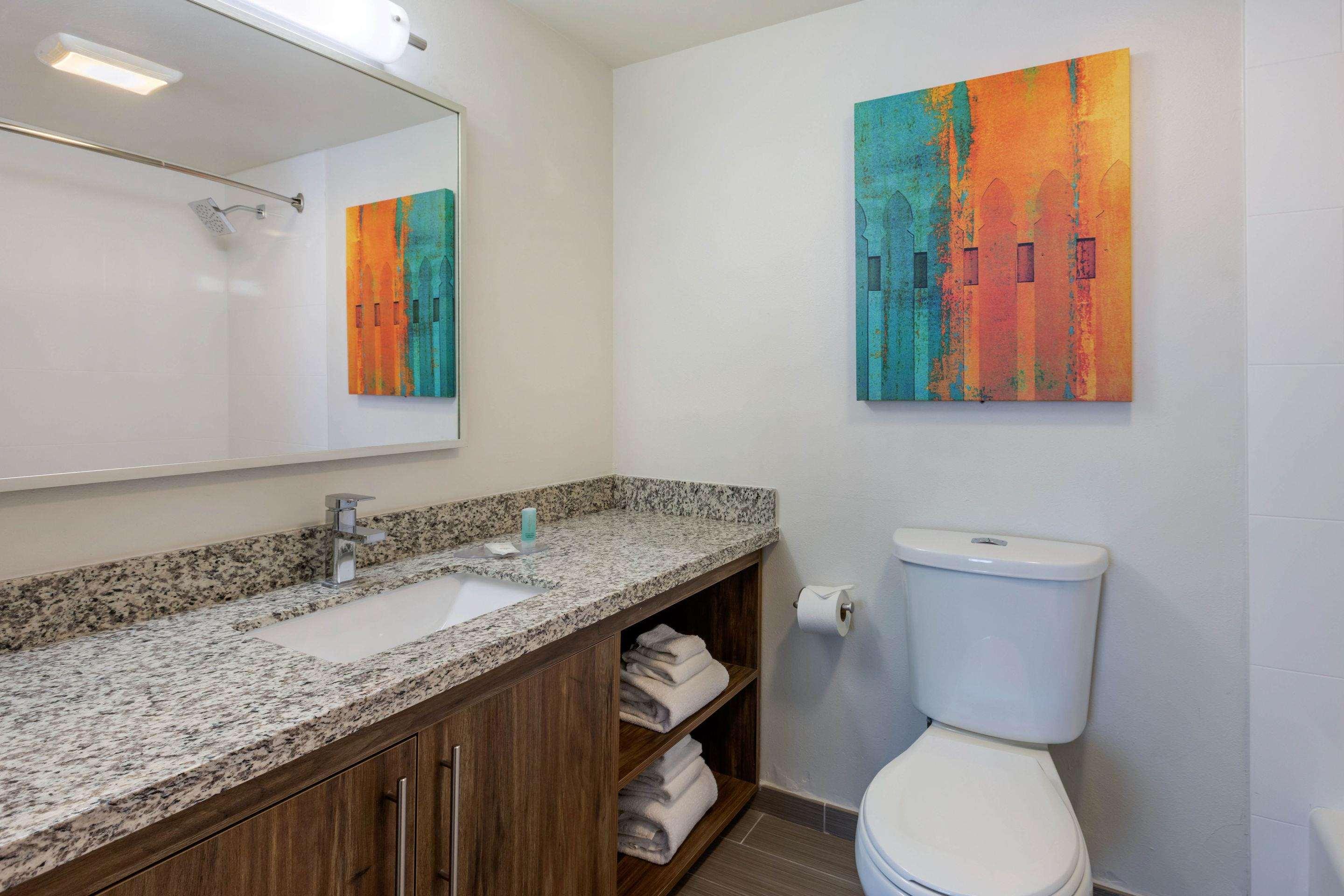 Suite King Bed Non Smoking