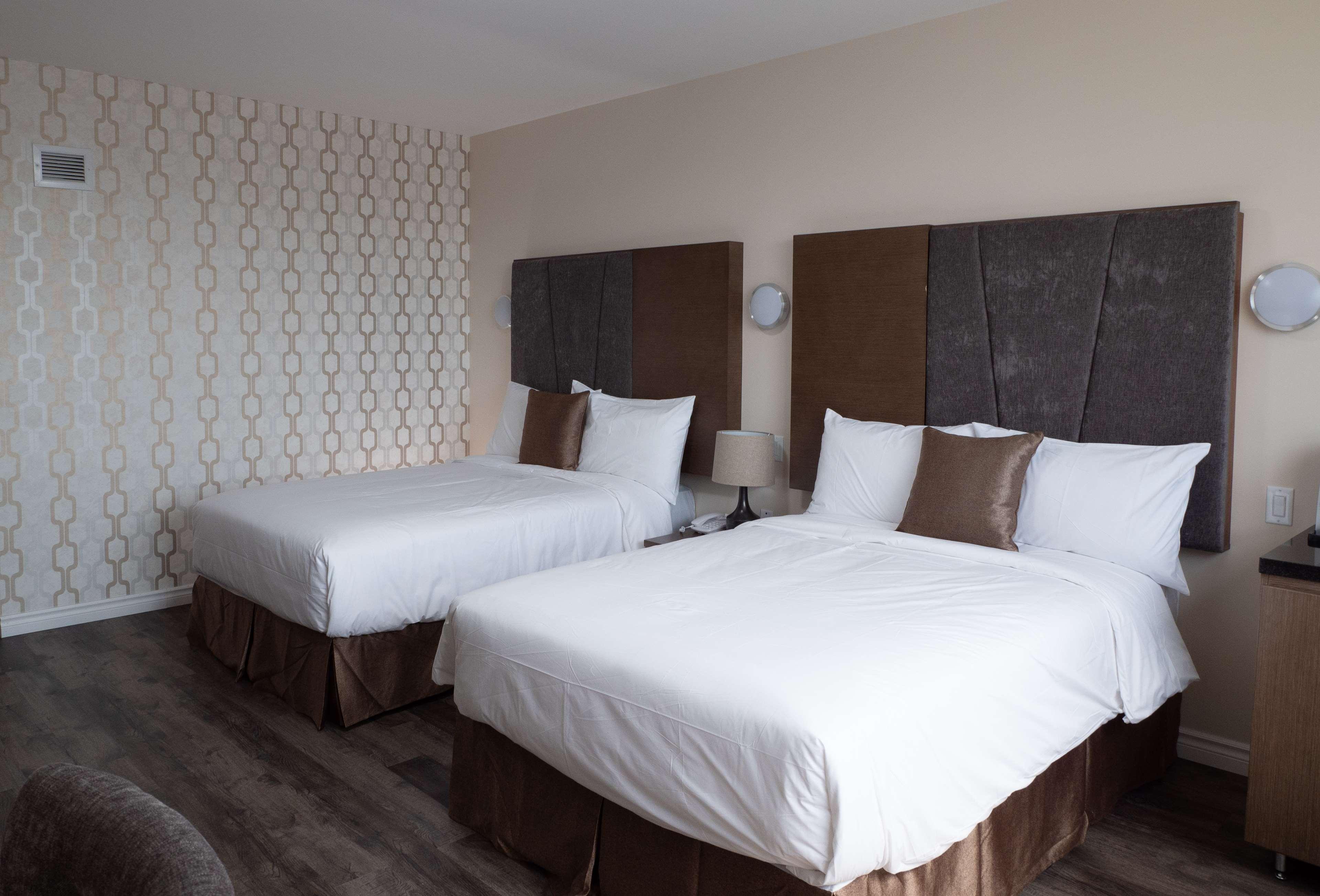 Quadruple Two Queen Beds