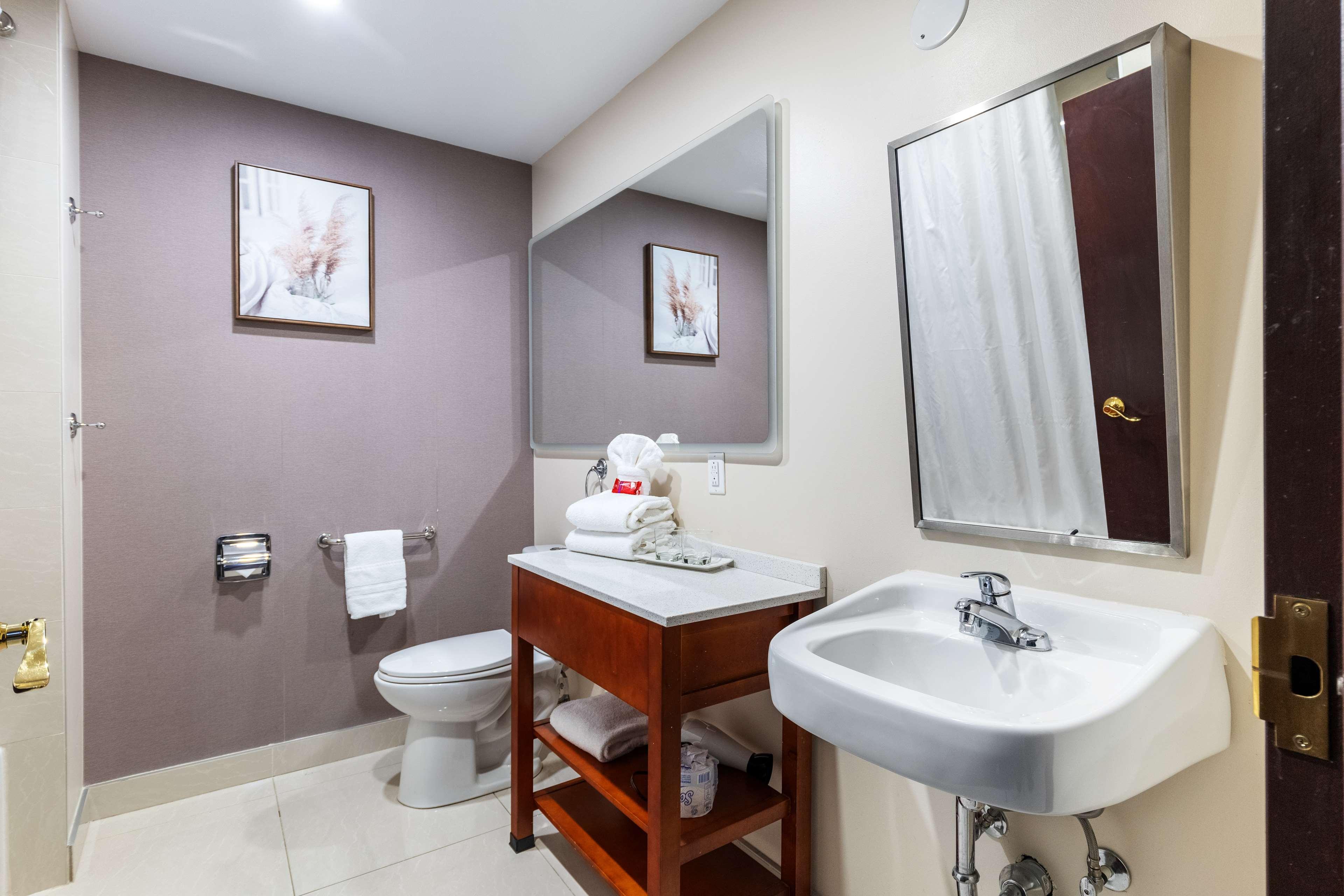 Suite King Bed Non Smoking