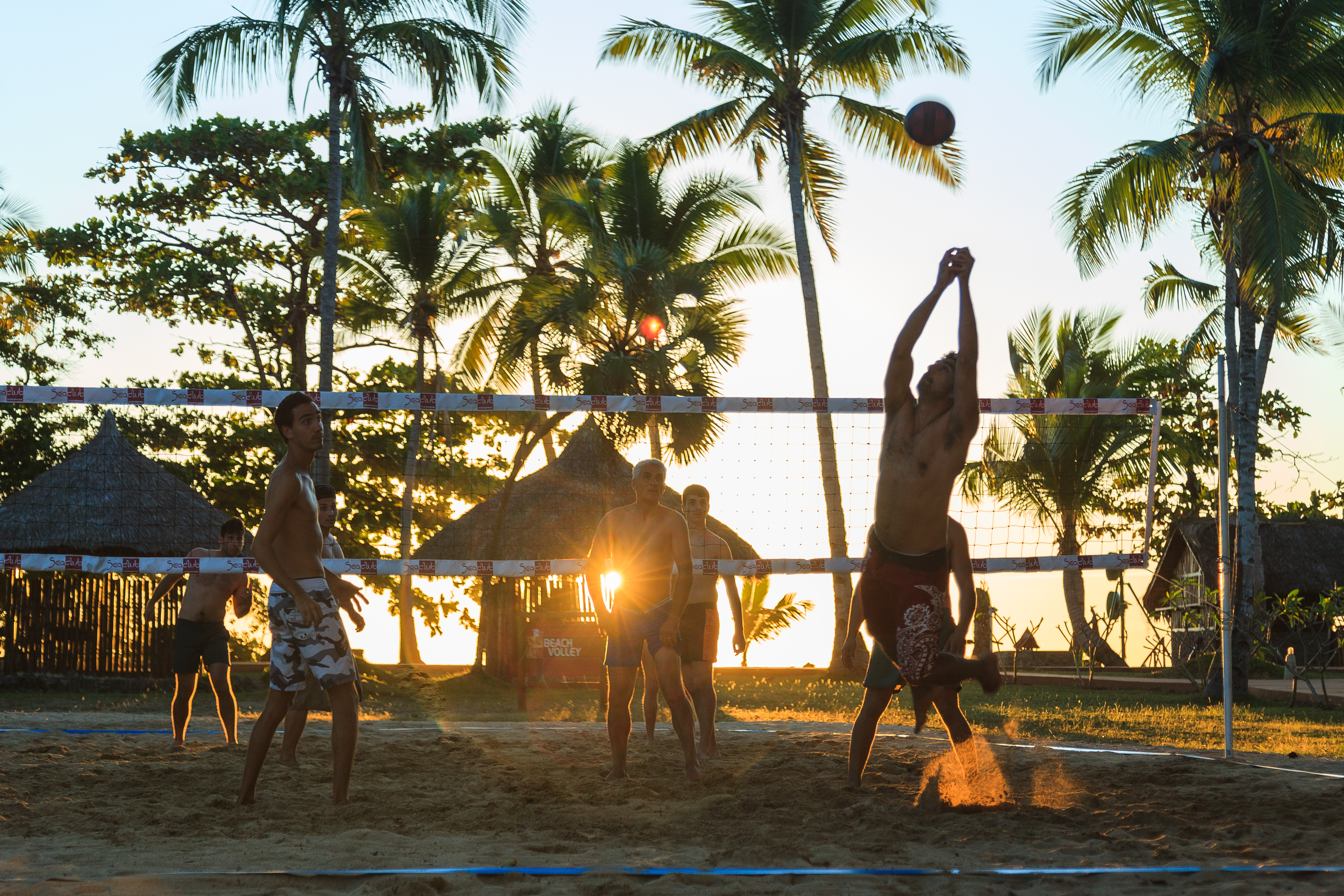 Sports and Entertainment