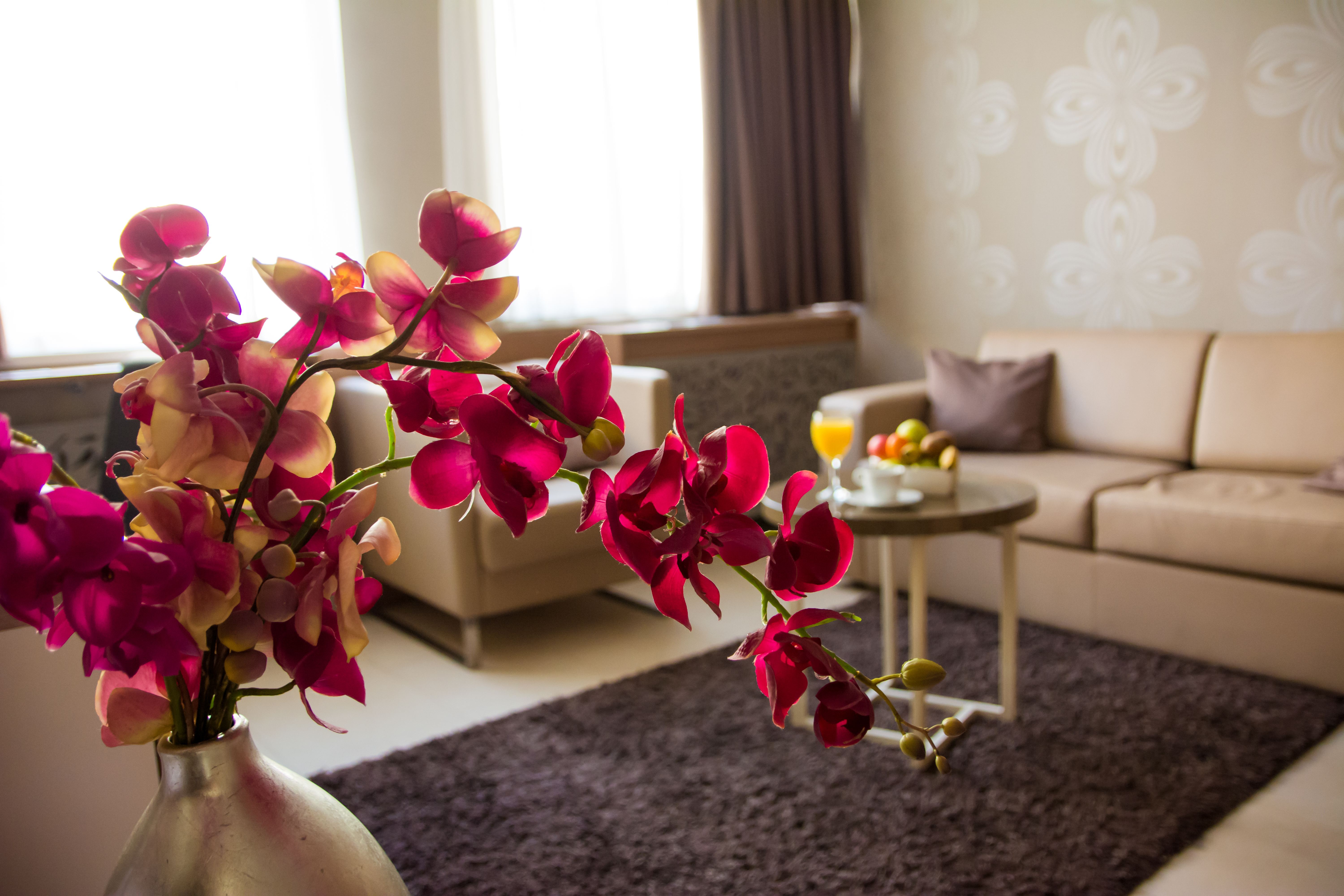 Family Room Standard