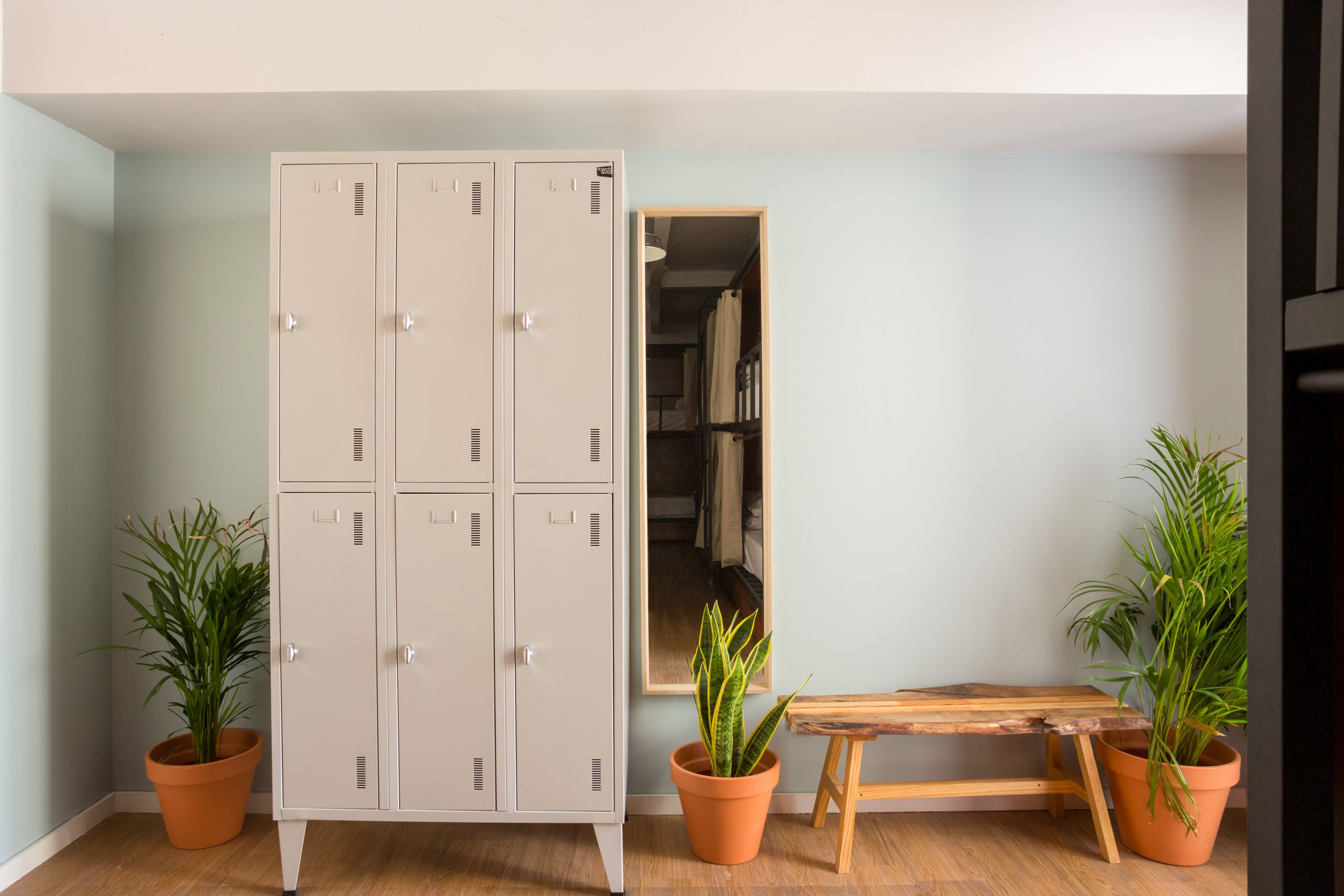 Bed in Dormitory Capacity 6