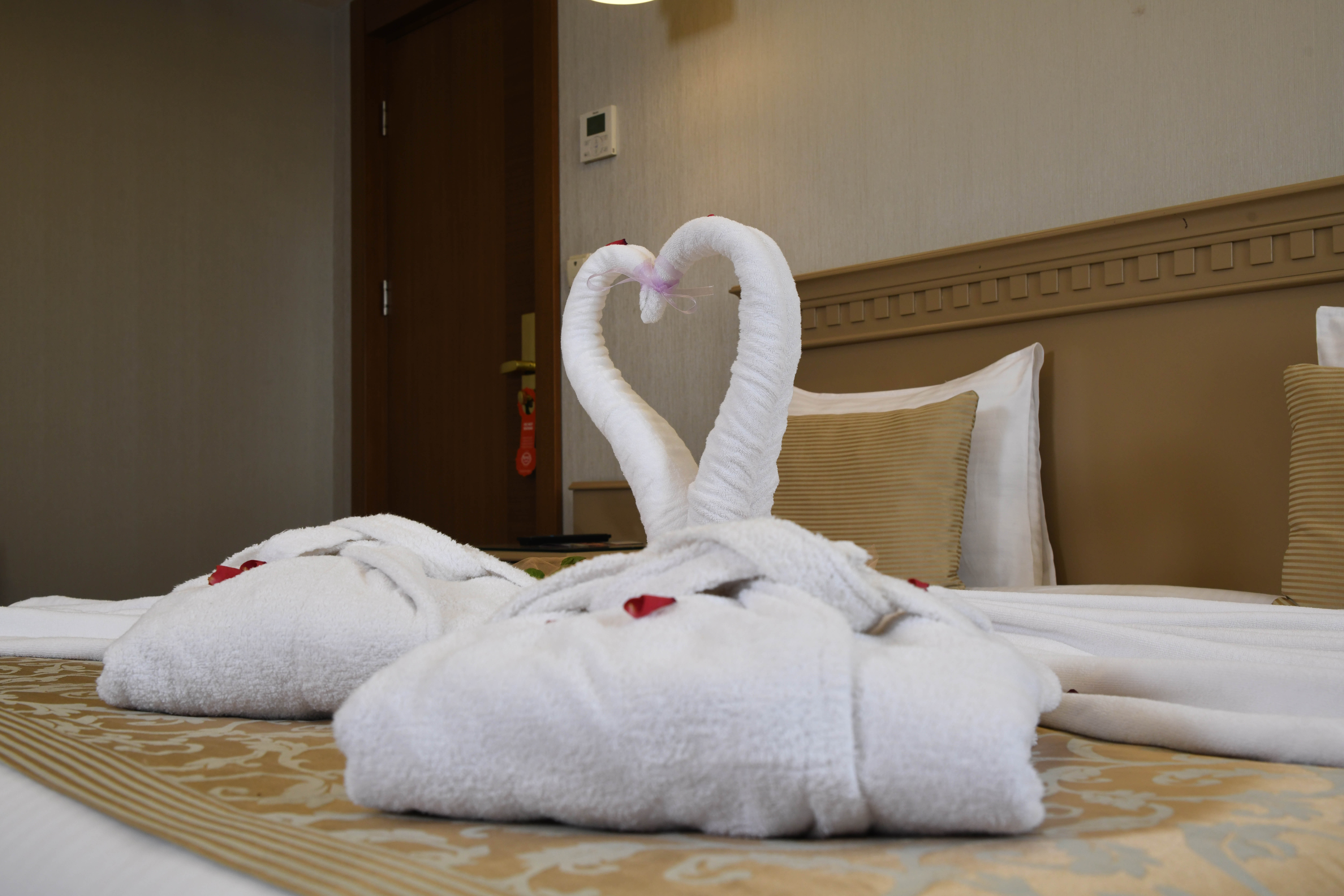 Family Room Connecting Room