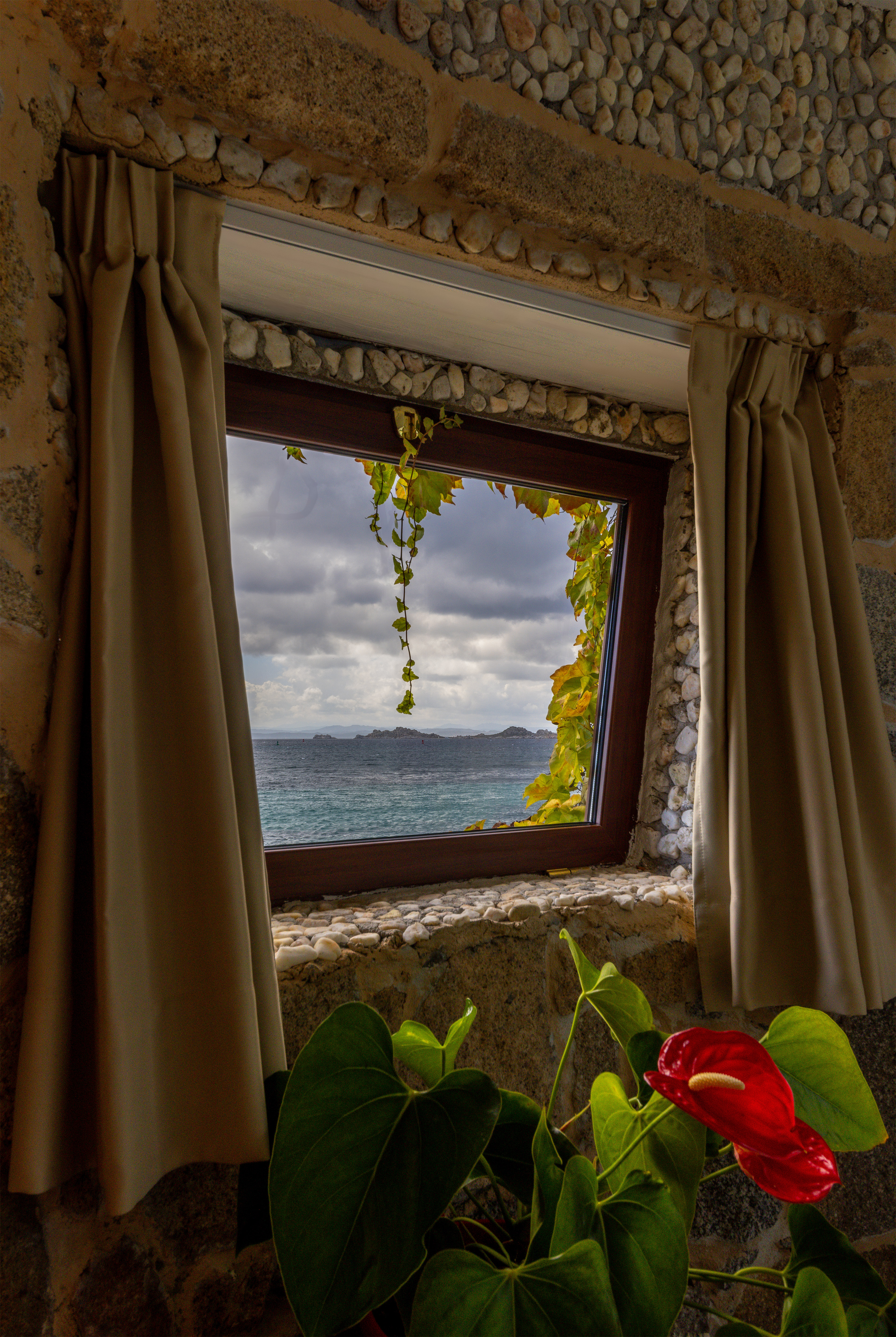 Suite Superior with Terrace