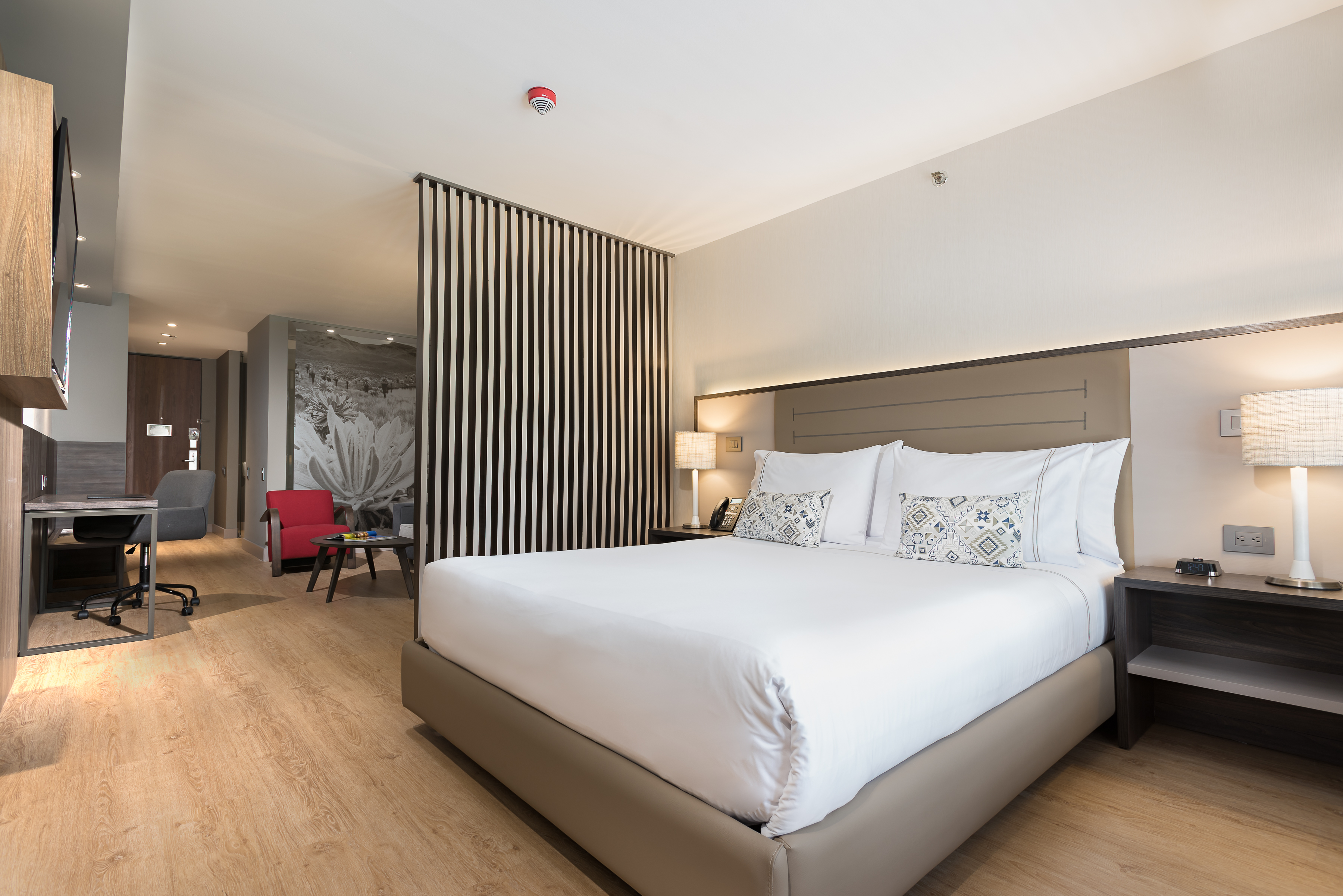 Junior Suite Queen Size Bed