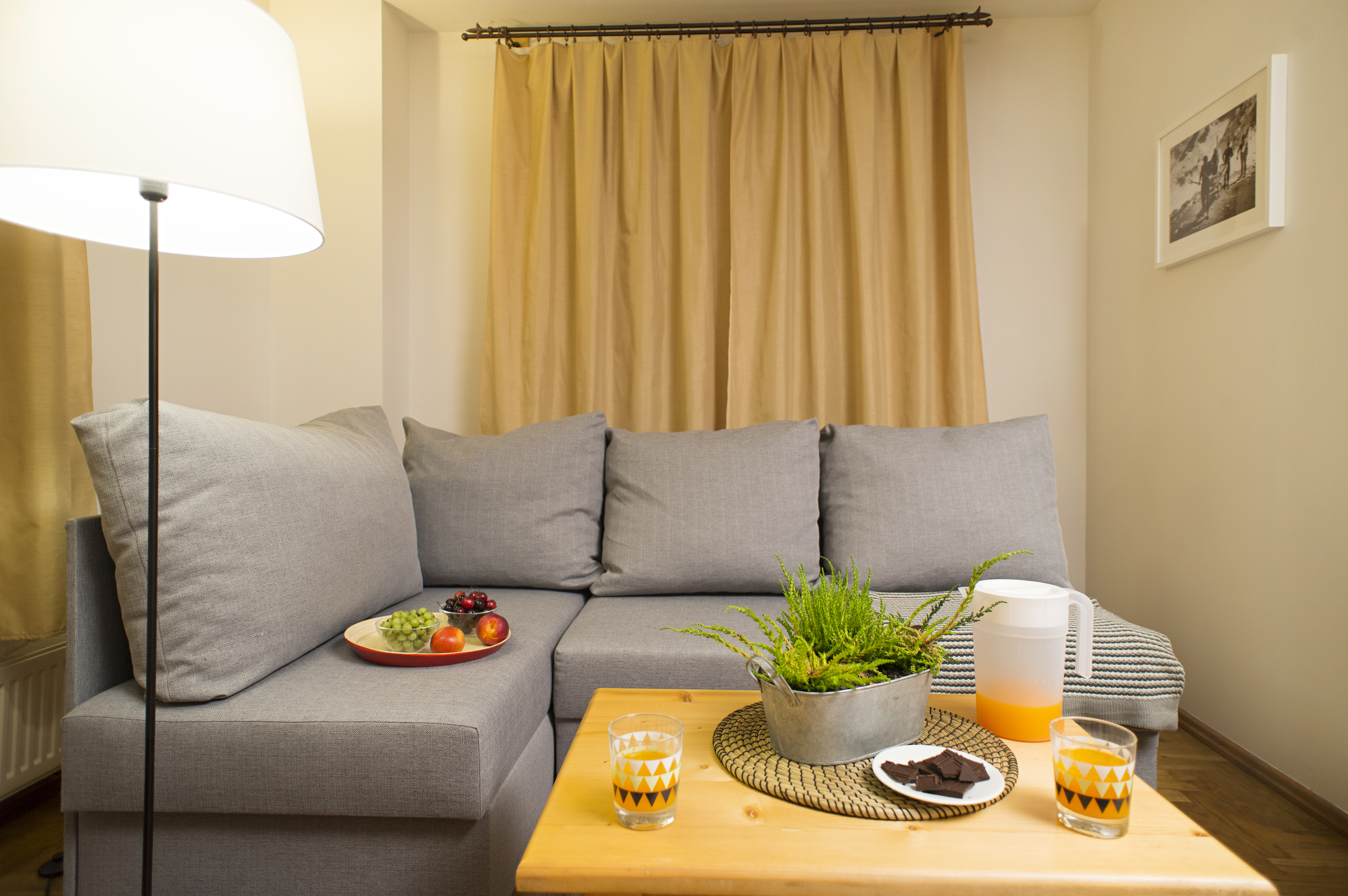 Family Room One Bedroom