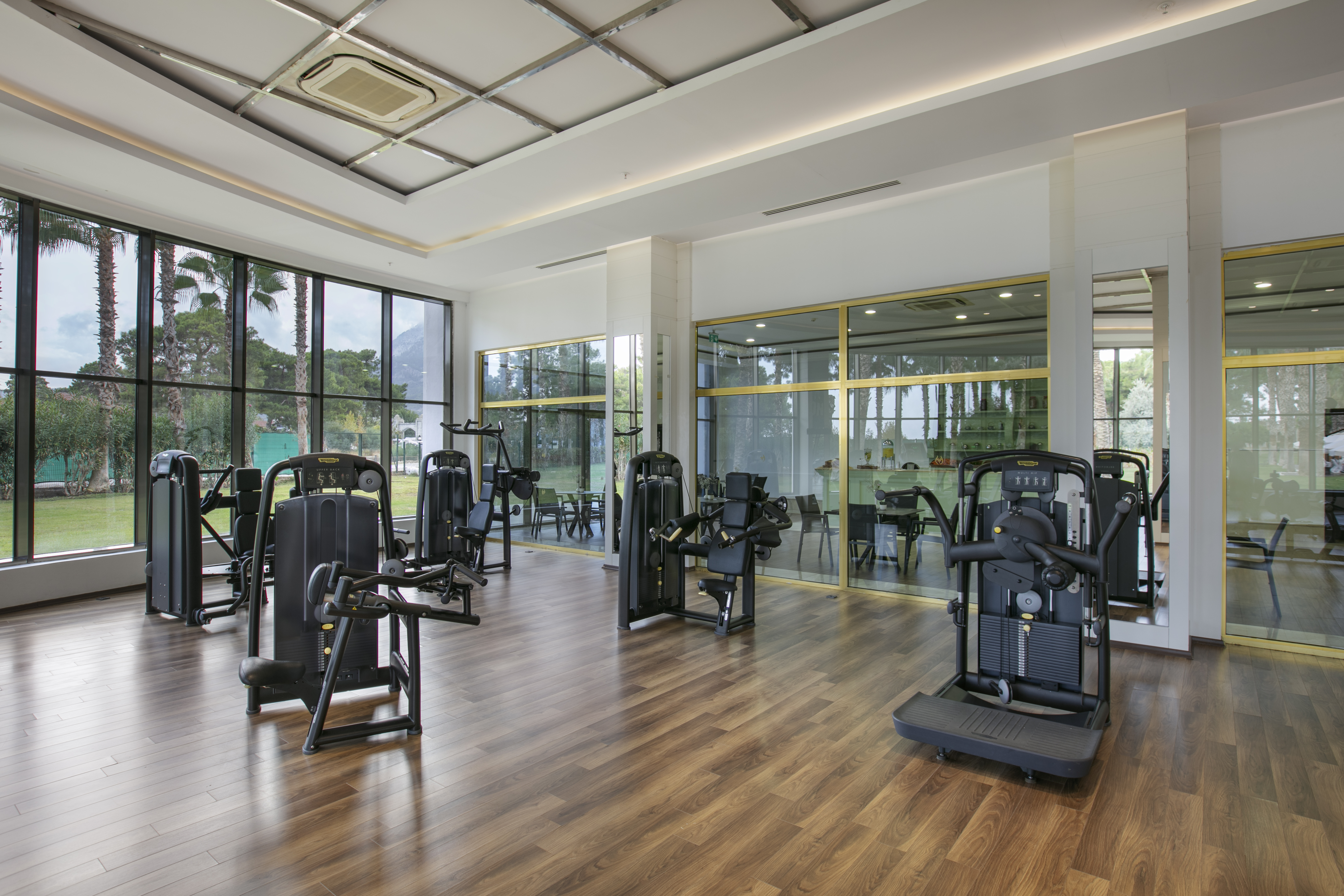 Sports and Entertainment