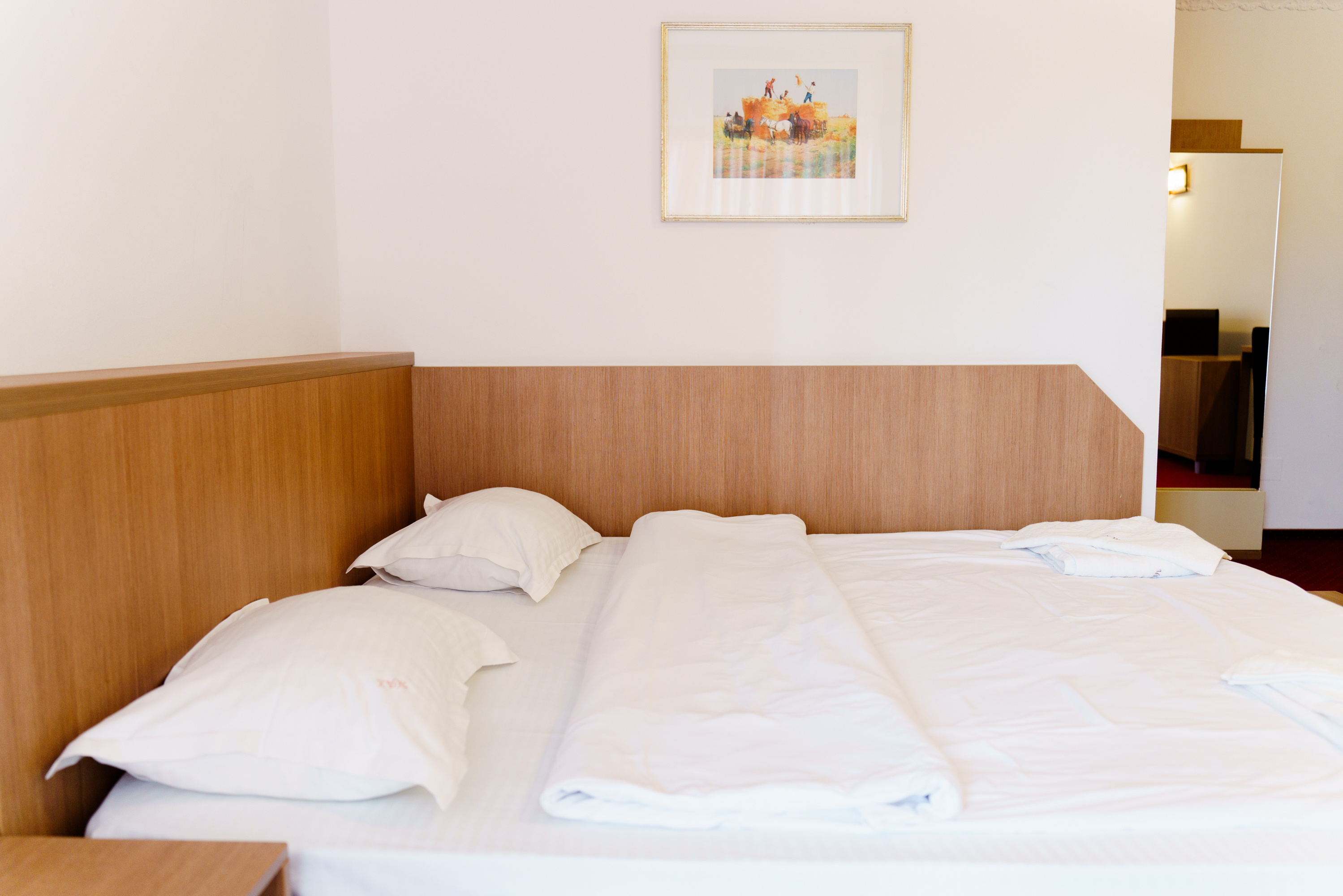 Family Room Standard