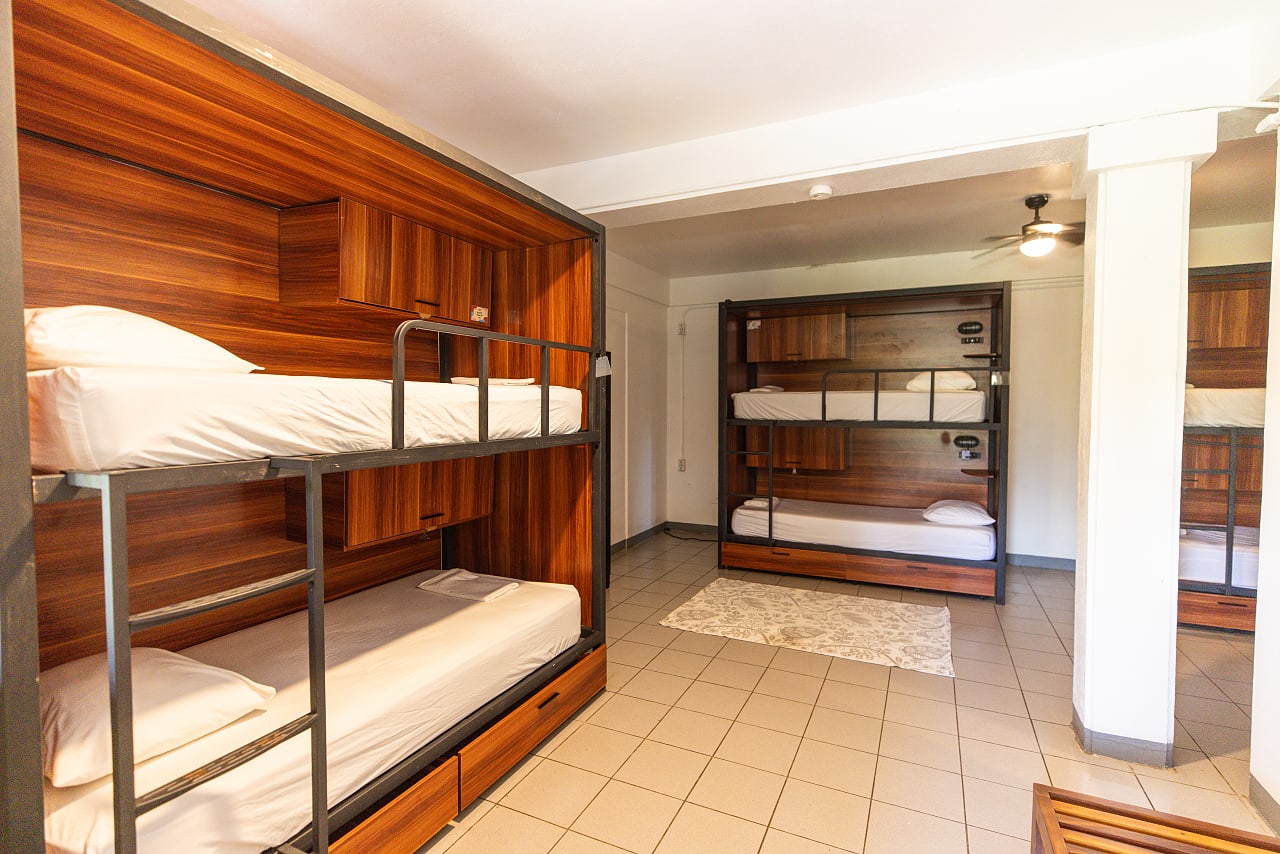 Bed in Dormitory Capacity 8