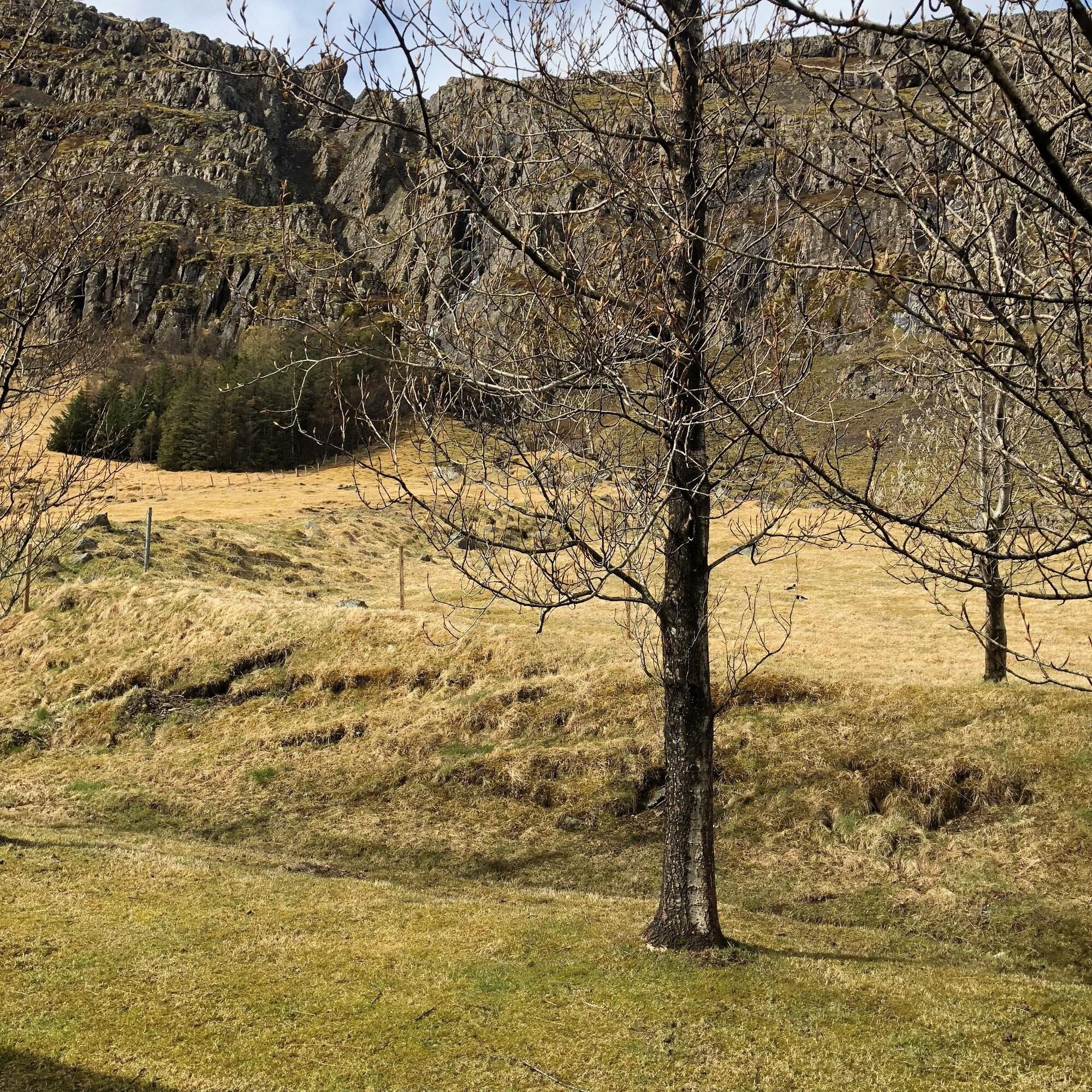 Twin with Shared Bathroom