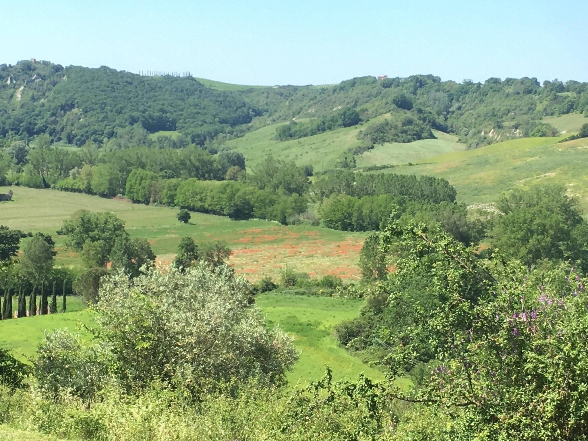 Suite Two Double Beds