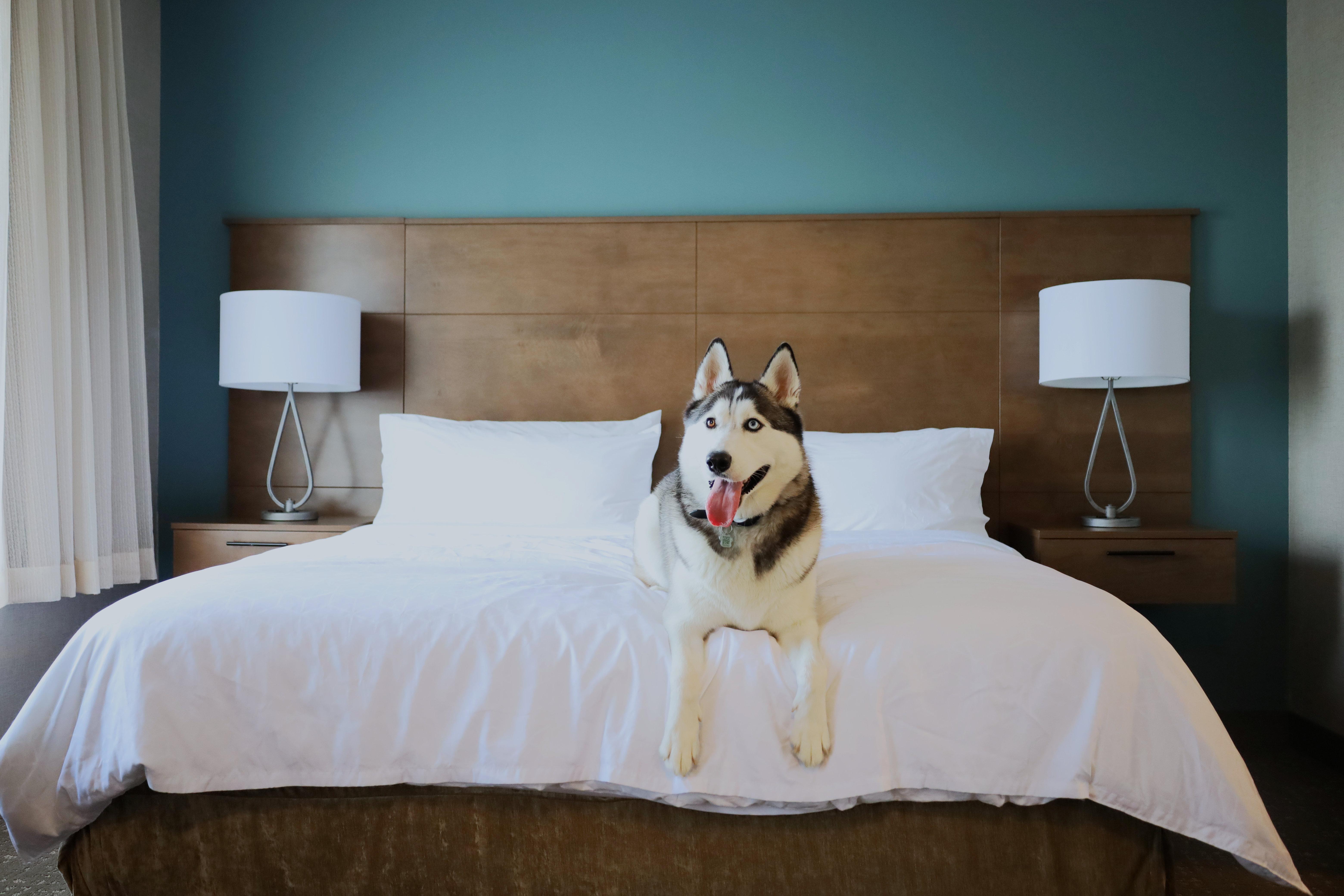 Studio King Bed Non Smoking