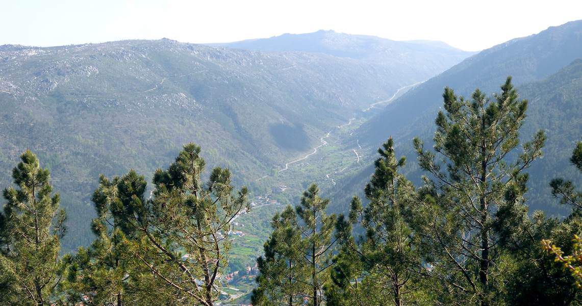 Double or Twin Superior