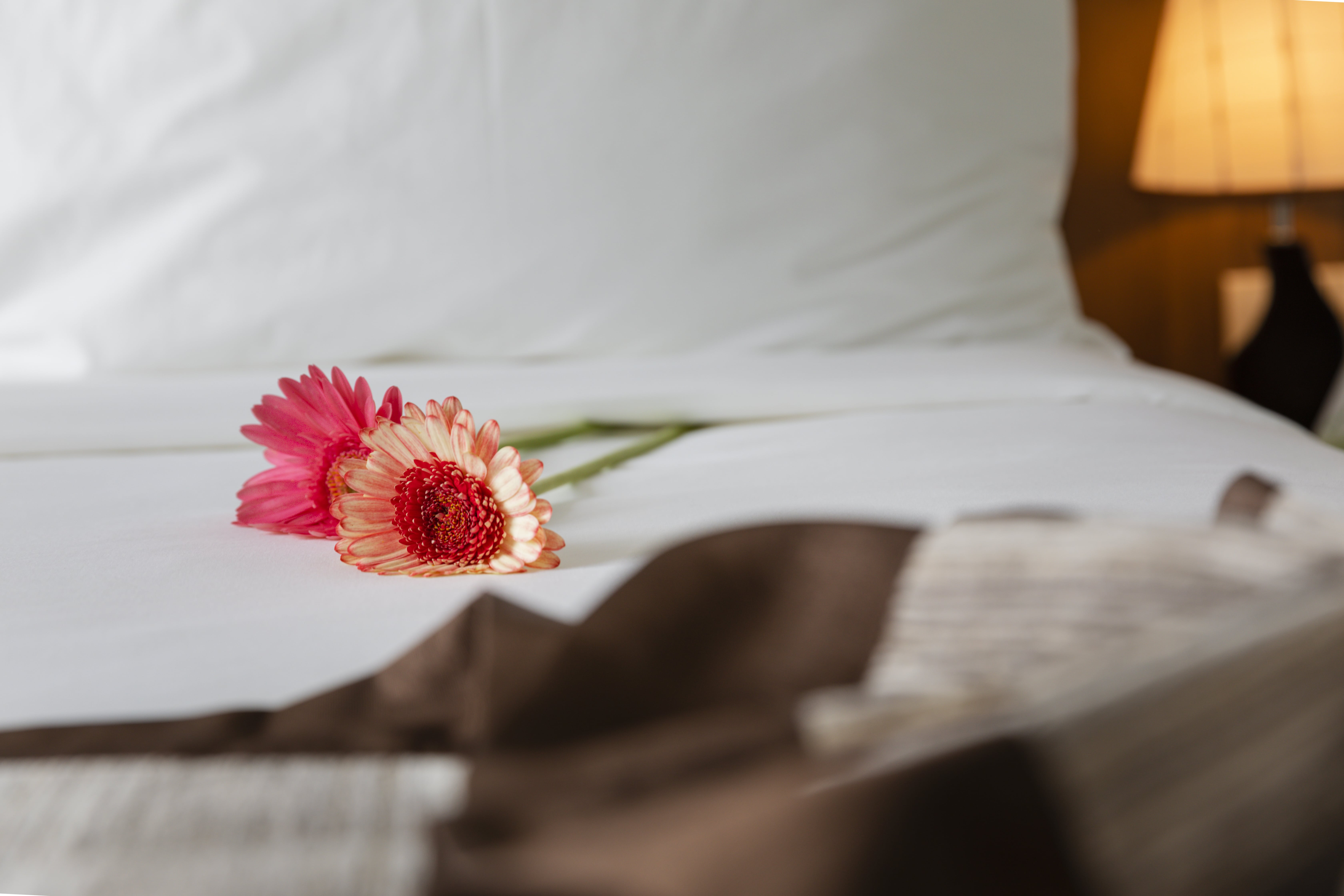 Double or Twin Deluxe City View