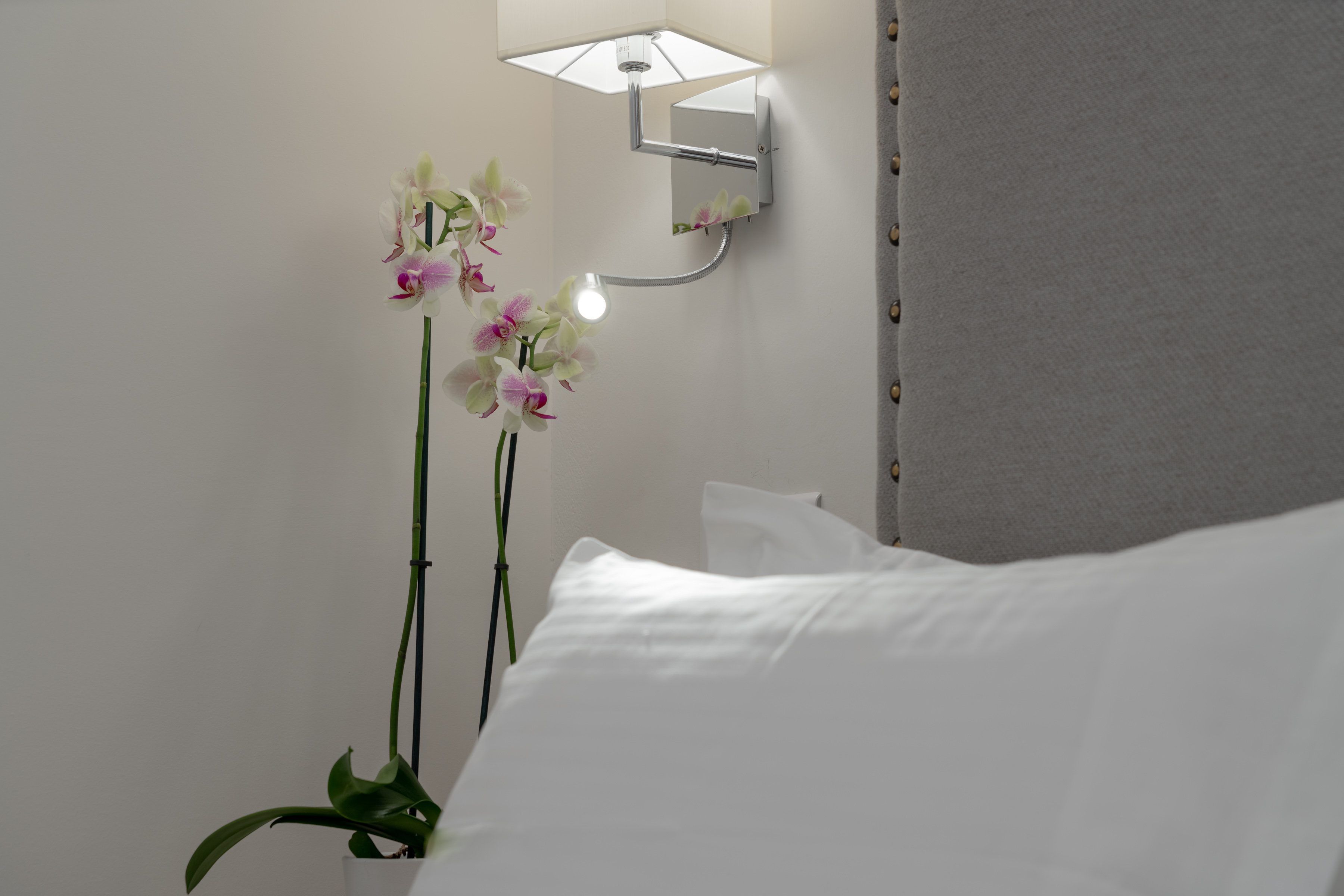 Junior Suite Garden View