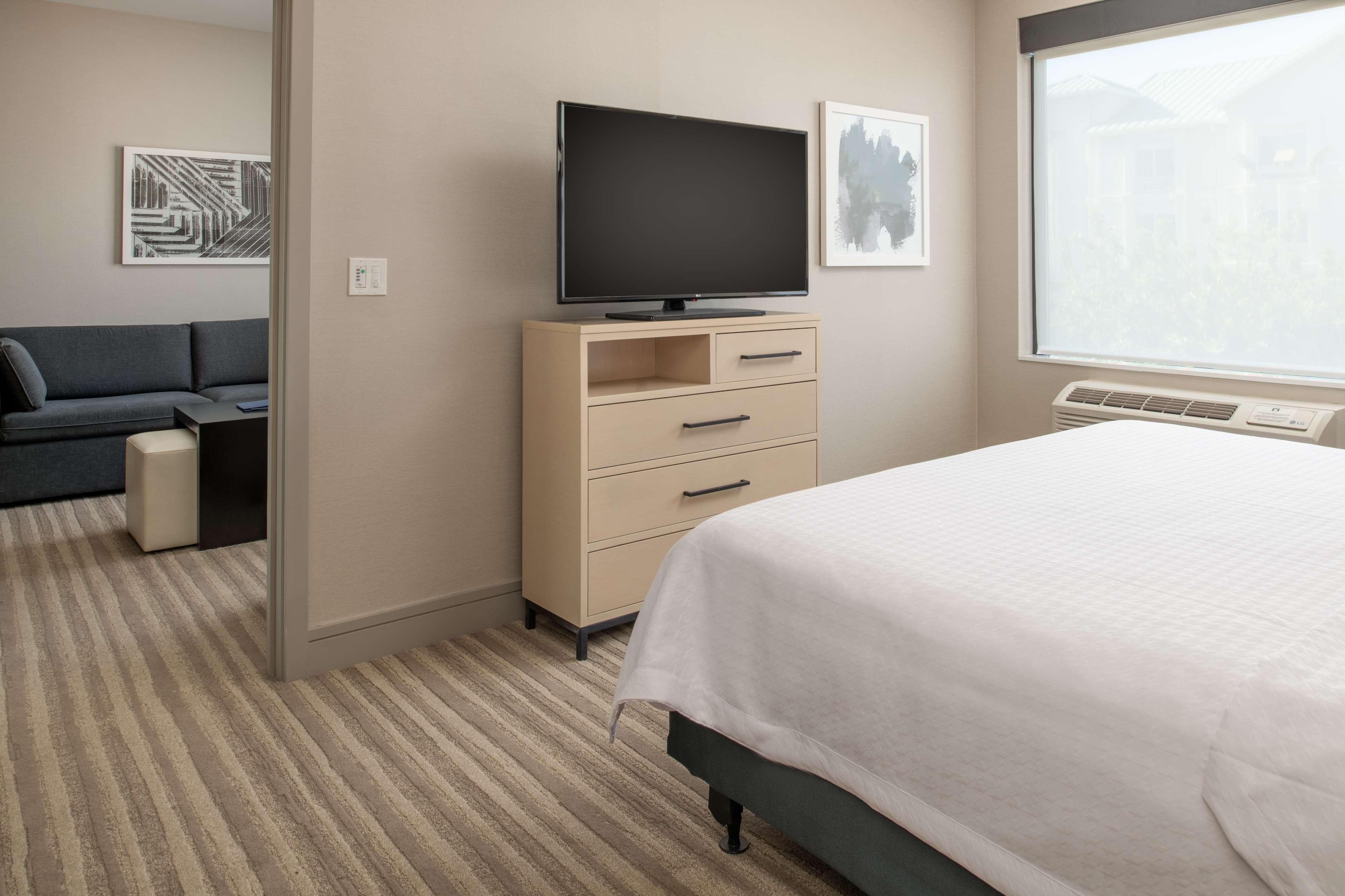 Suite King Bed One Bedroom 