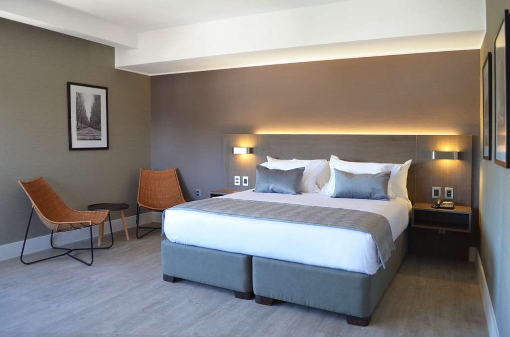 Suite King Bed Non Smoking