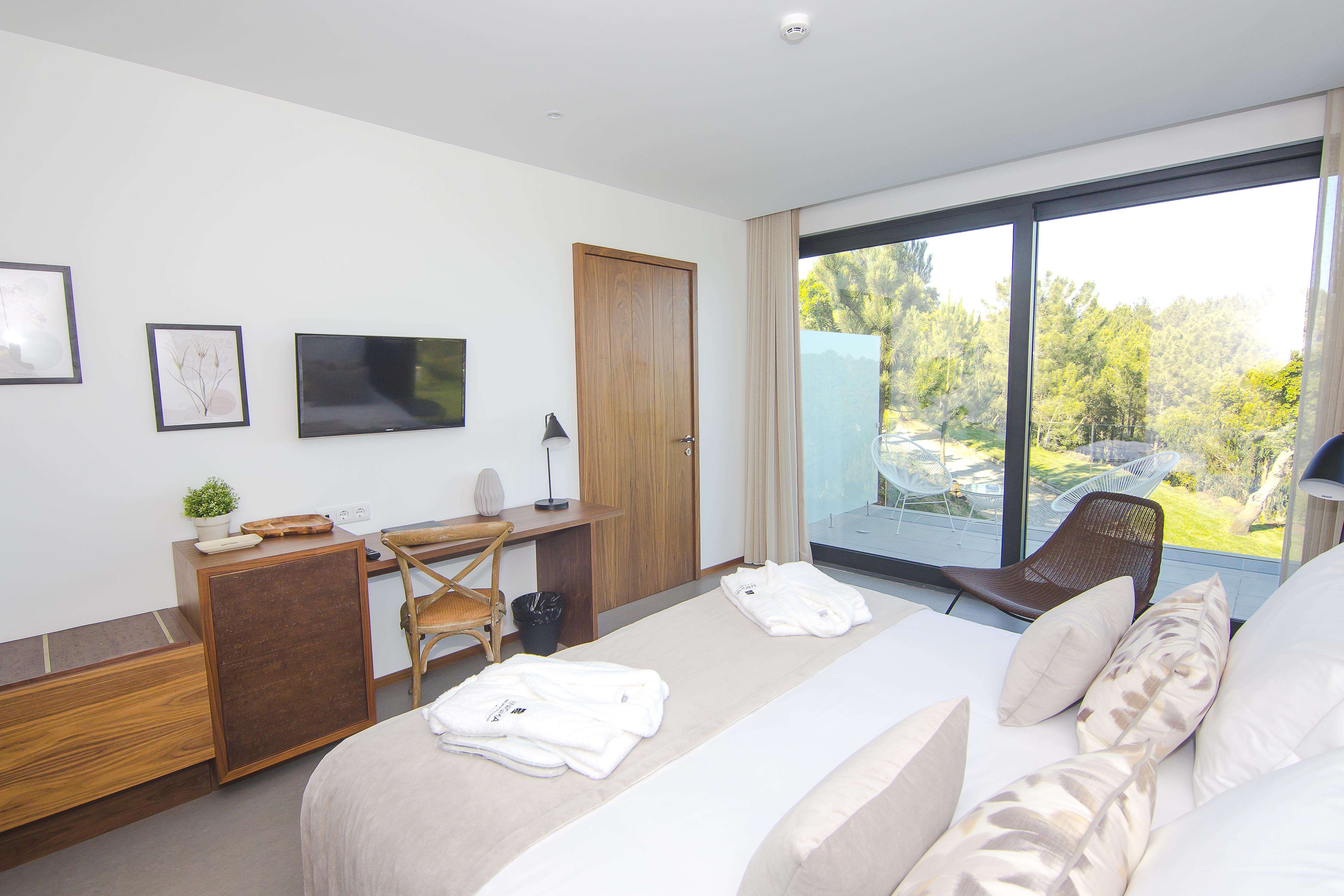 Double or Twin Deluxe Mountain View