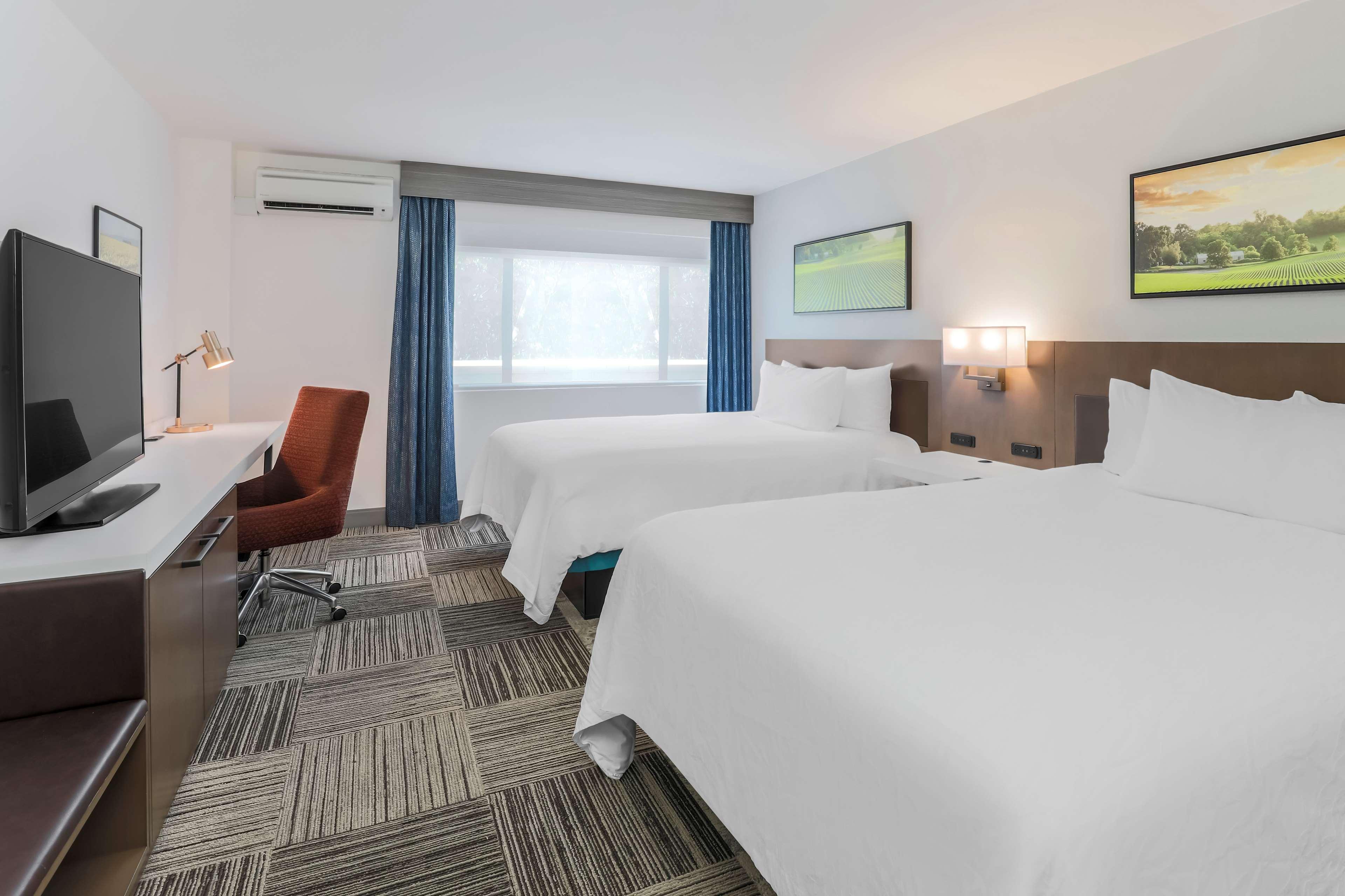 Double Two Queen Beds