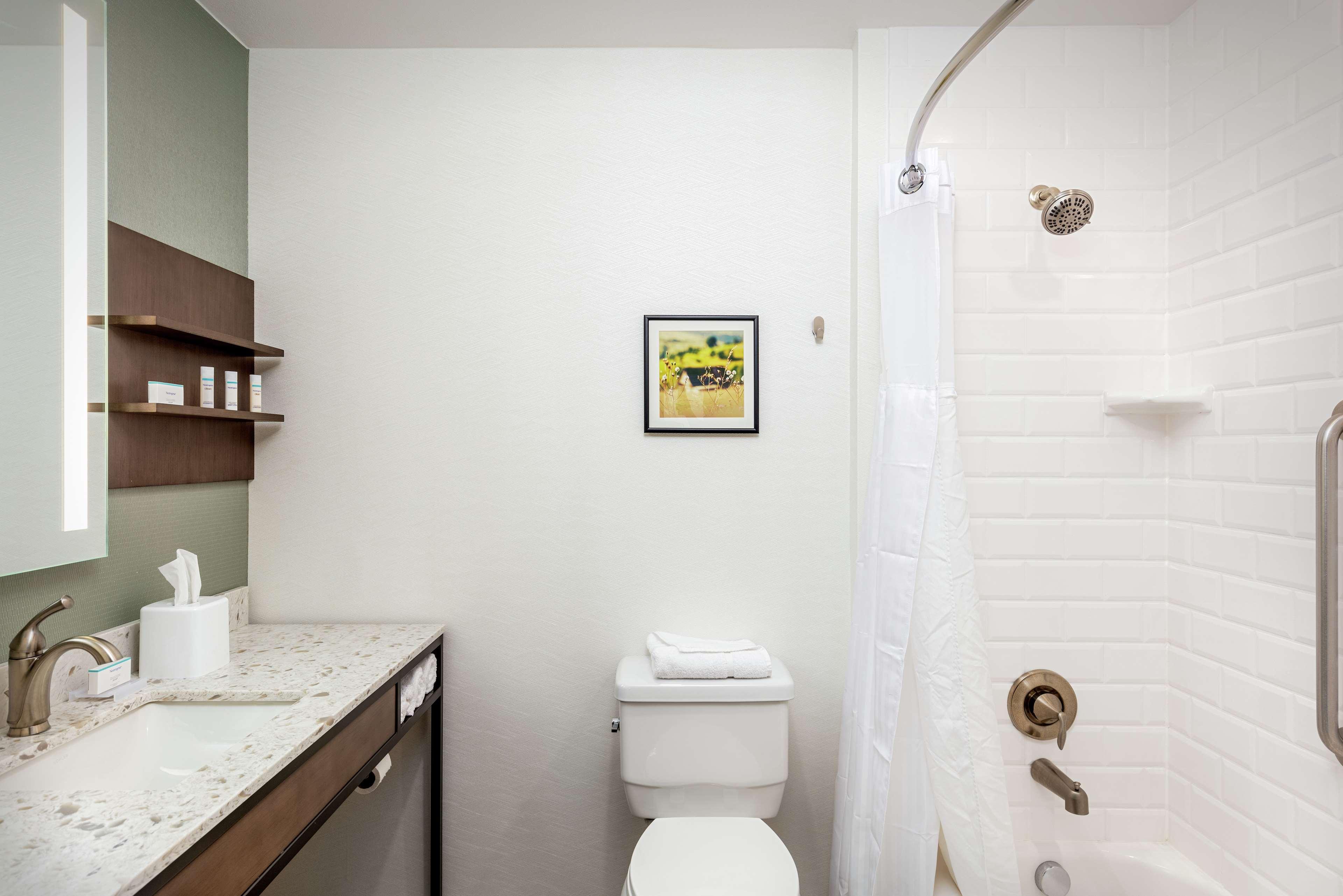 Suite King Bed One Bedroom 