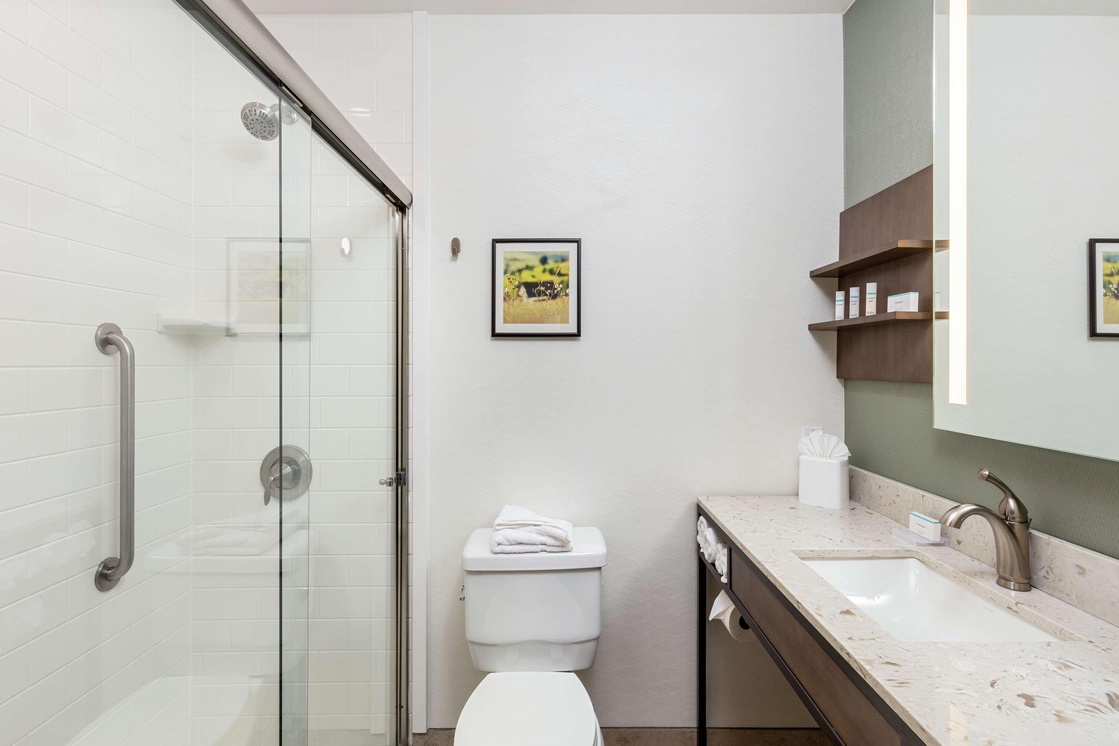 Suite King Bed One Bedroom 