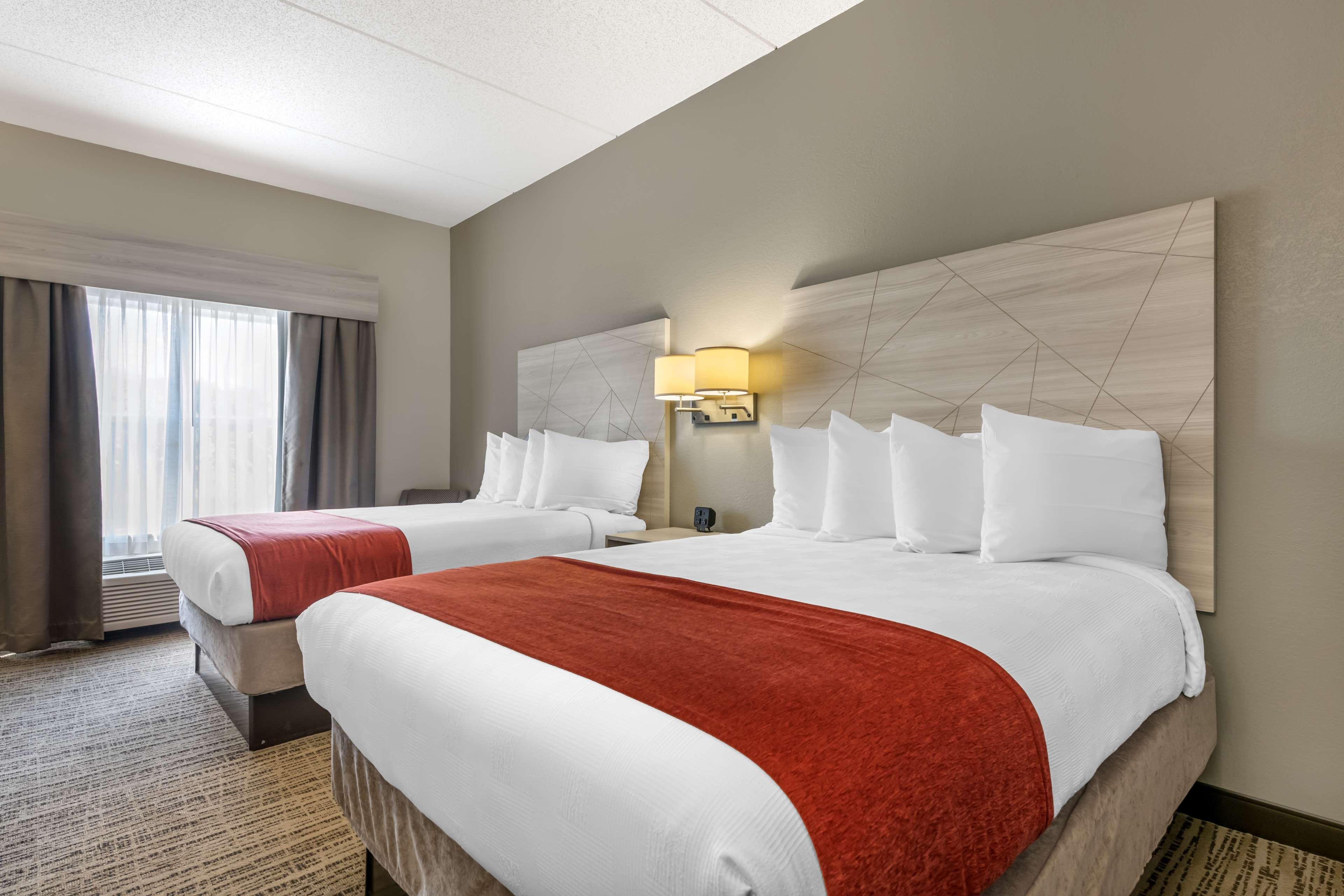 Double Two Queen Beds