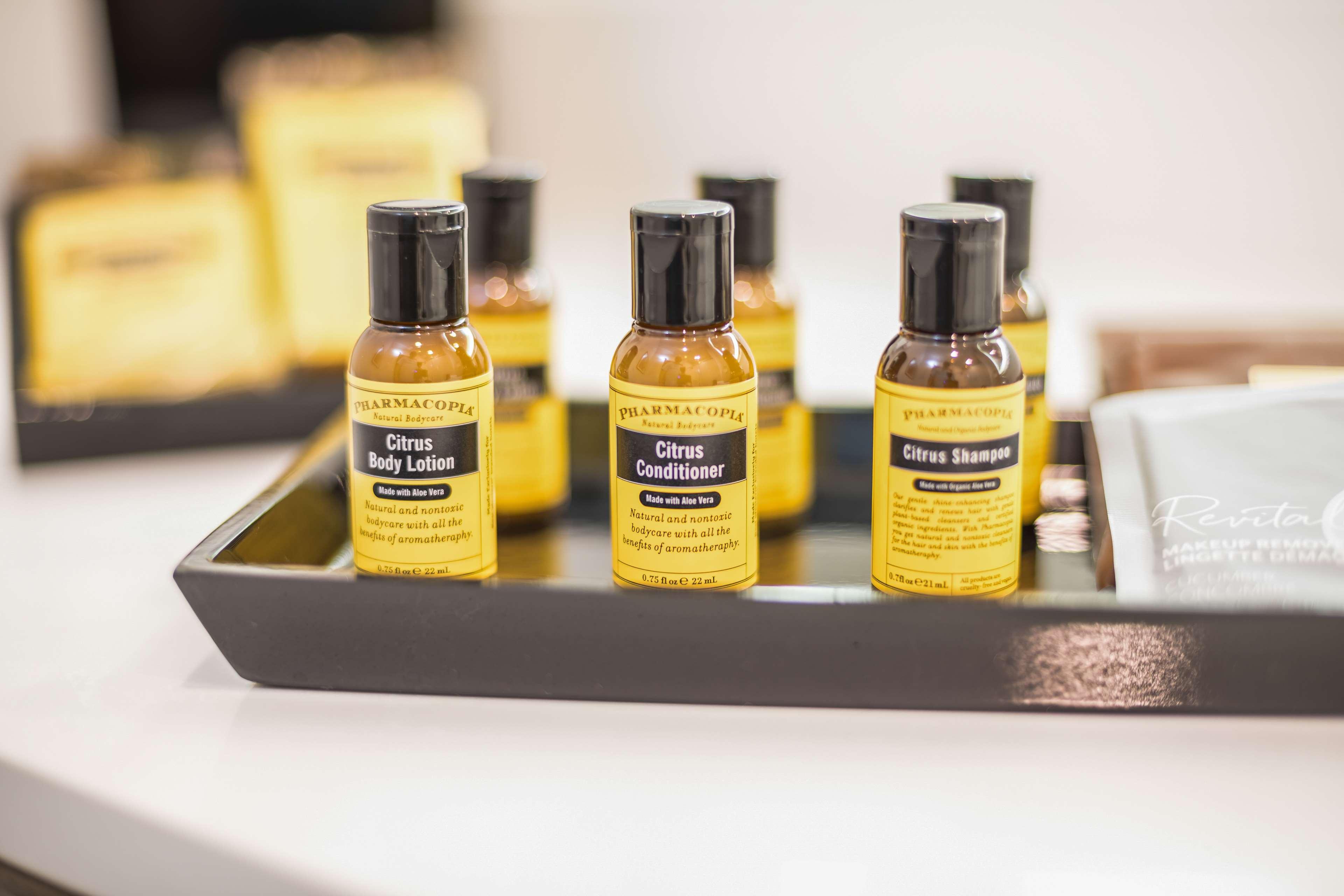 Room King Bed Non Smoking