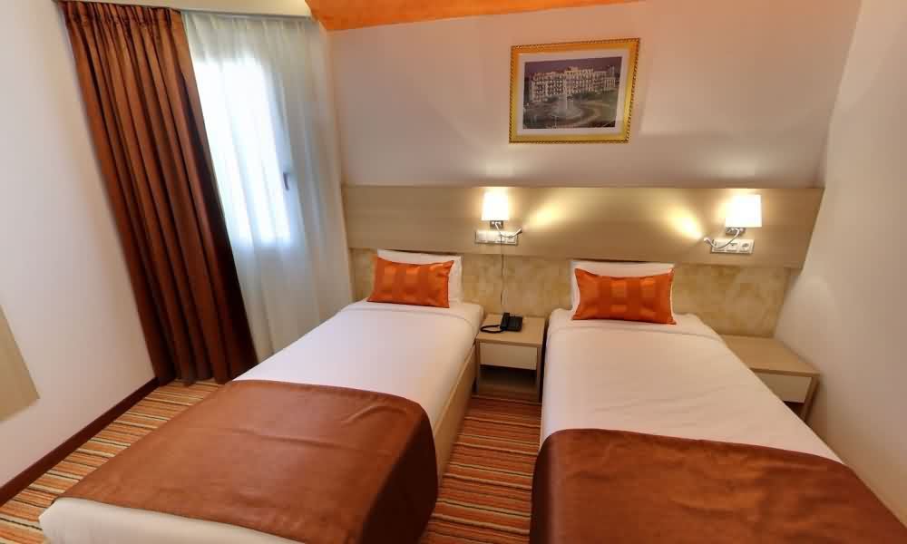 Double or Twin Standard