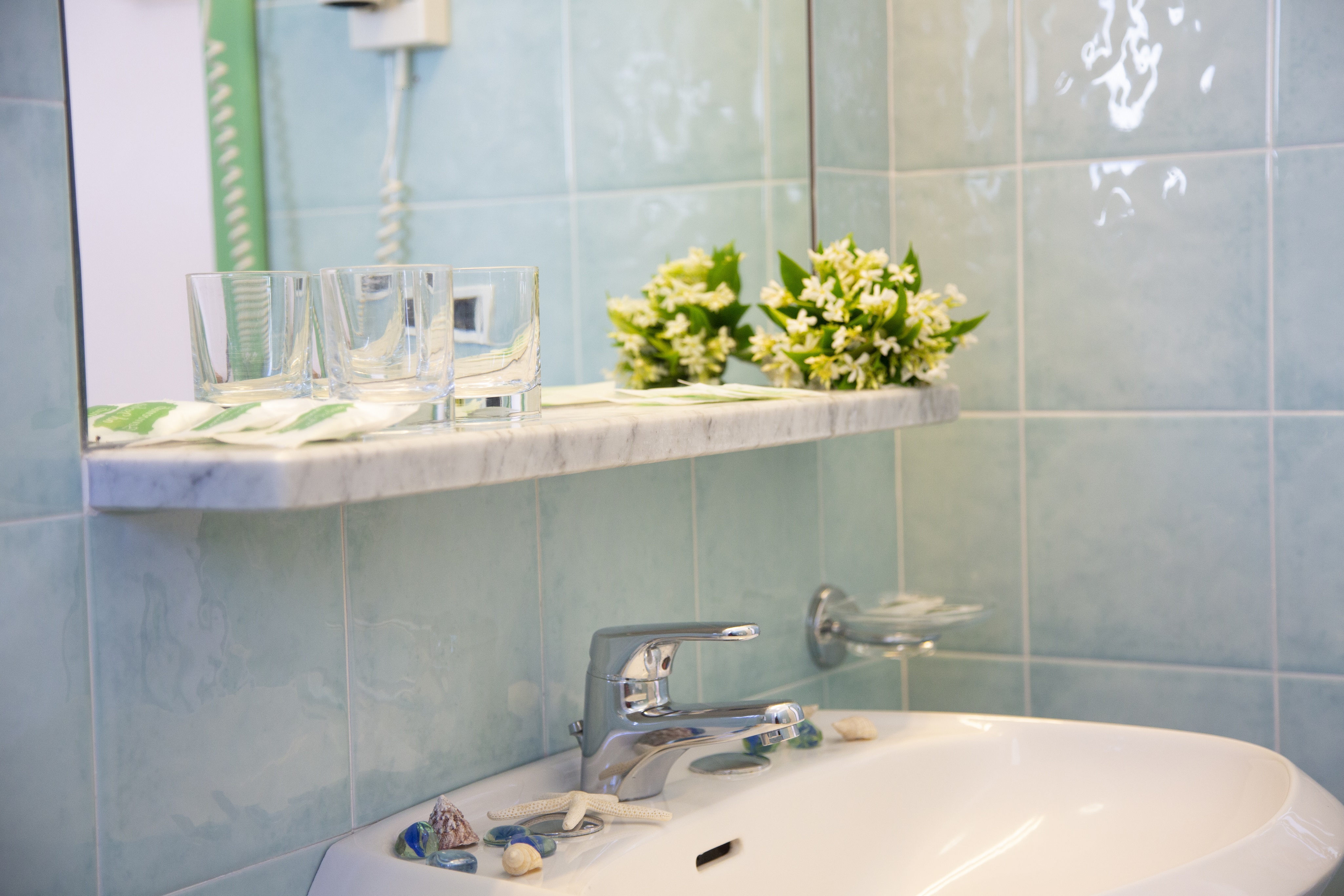 Double or Twin Economy