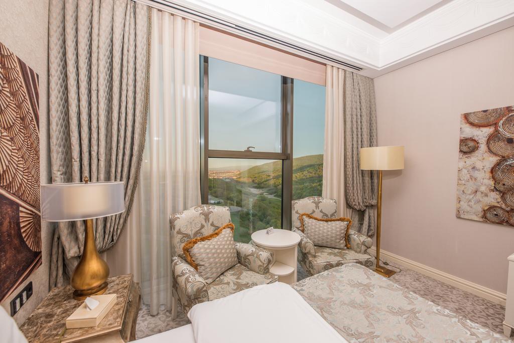 Single Deluxe Mountain View