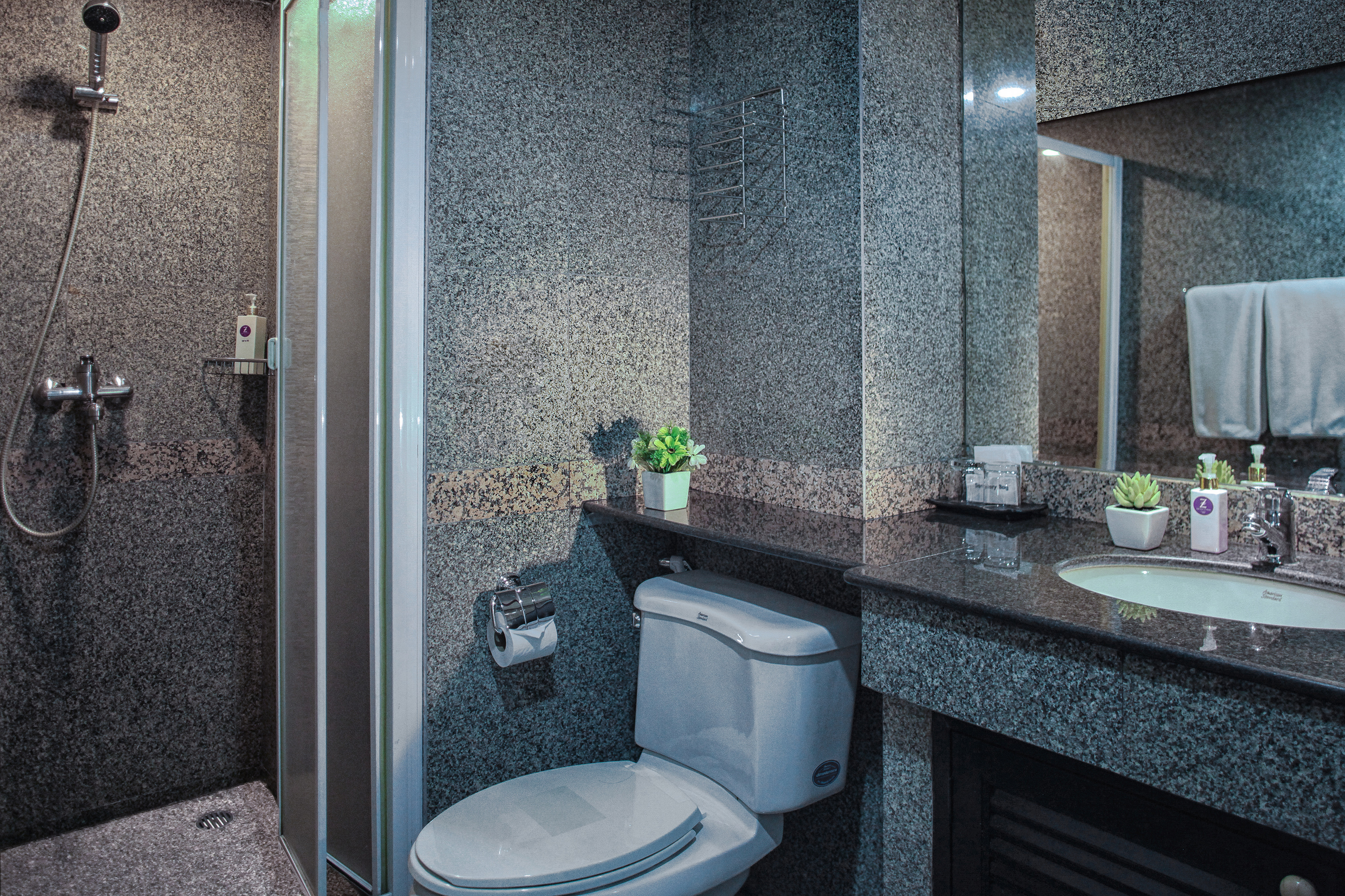 Double or Twin Superior