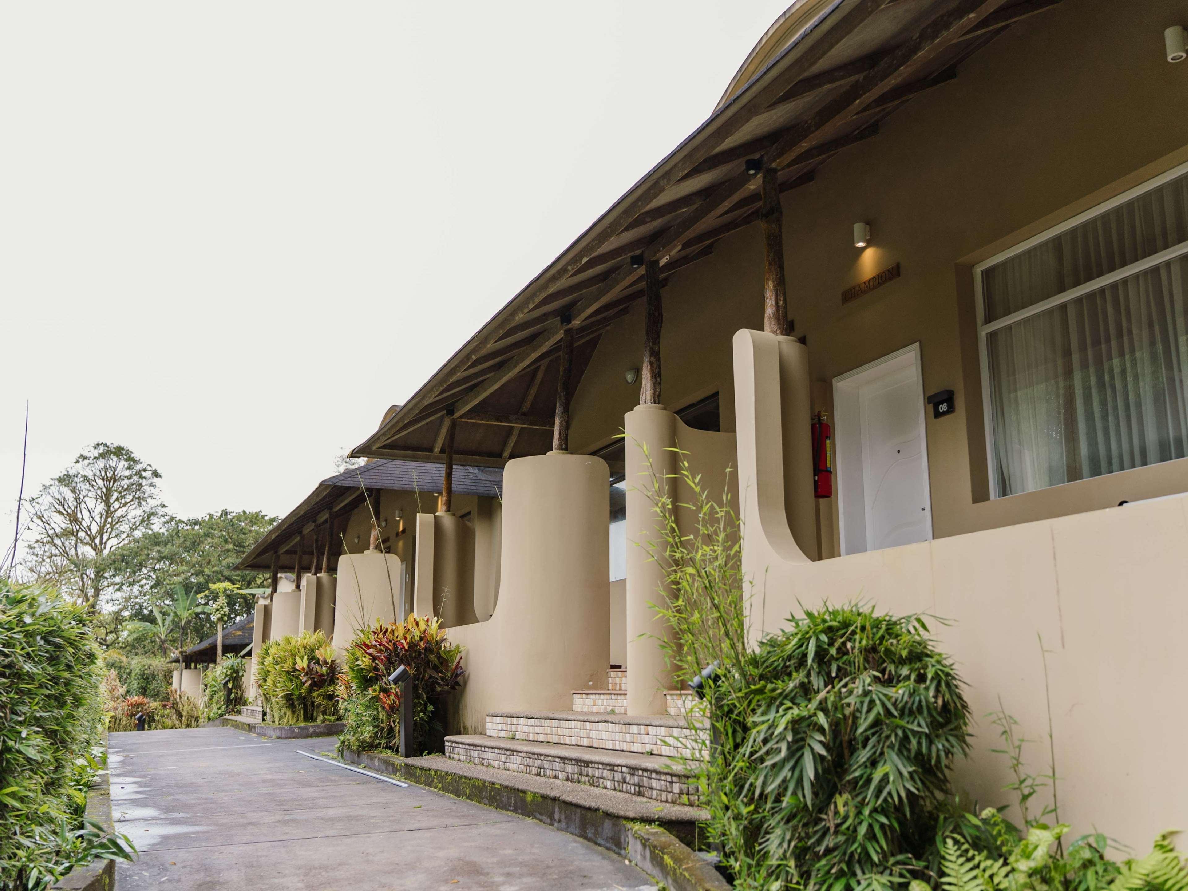 Double Guest Room King Bed