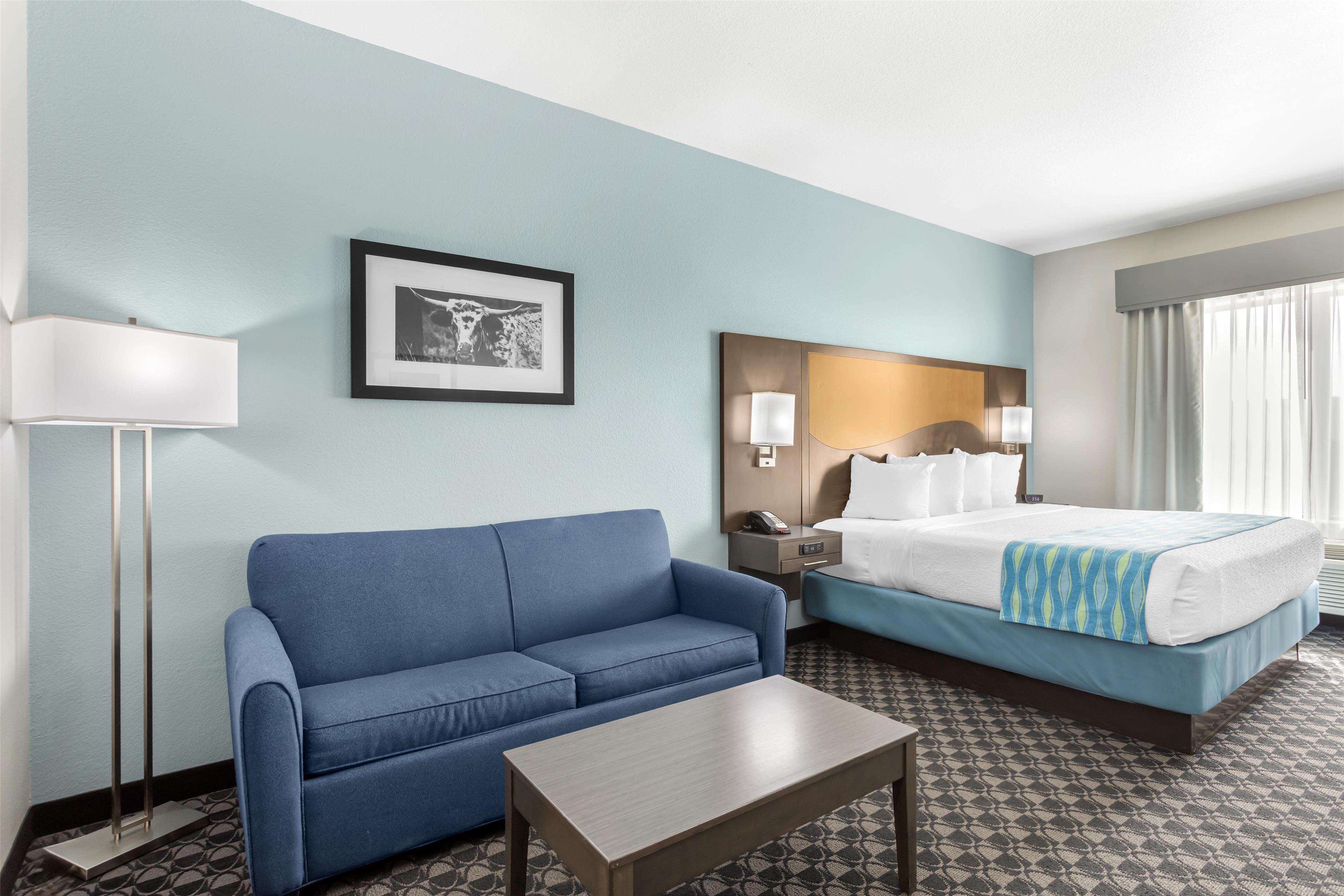 Room King Bed Non Smoking