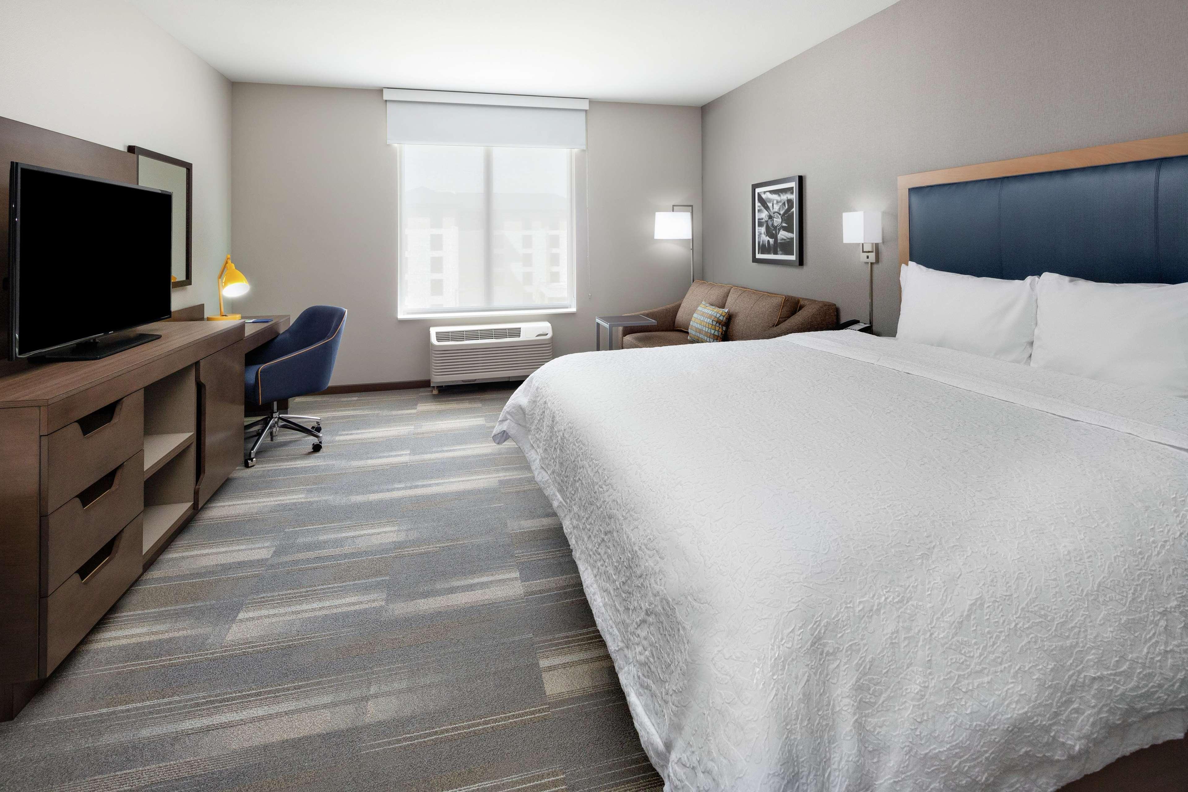 Suite King Bed One Bedroom 