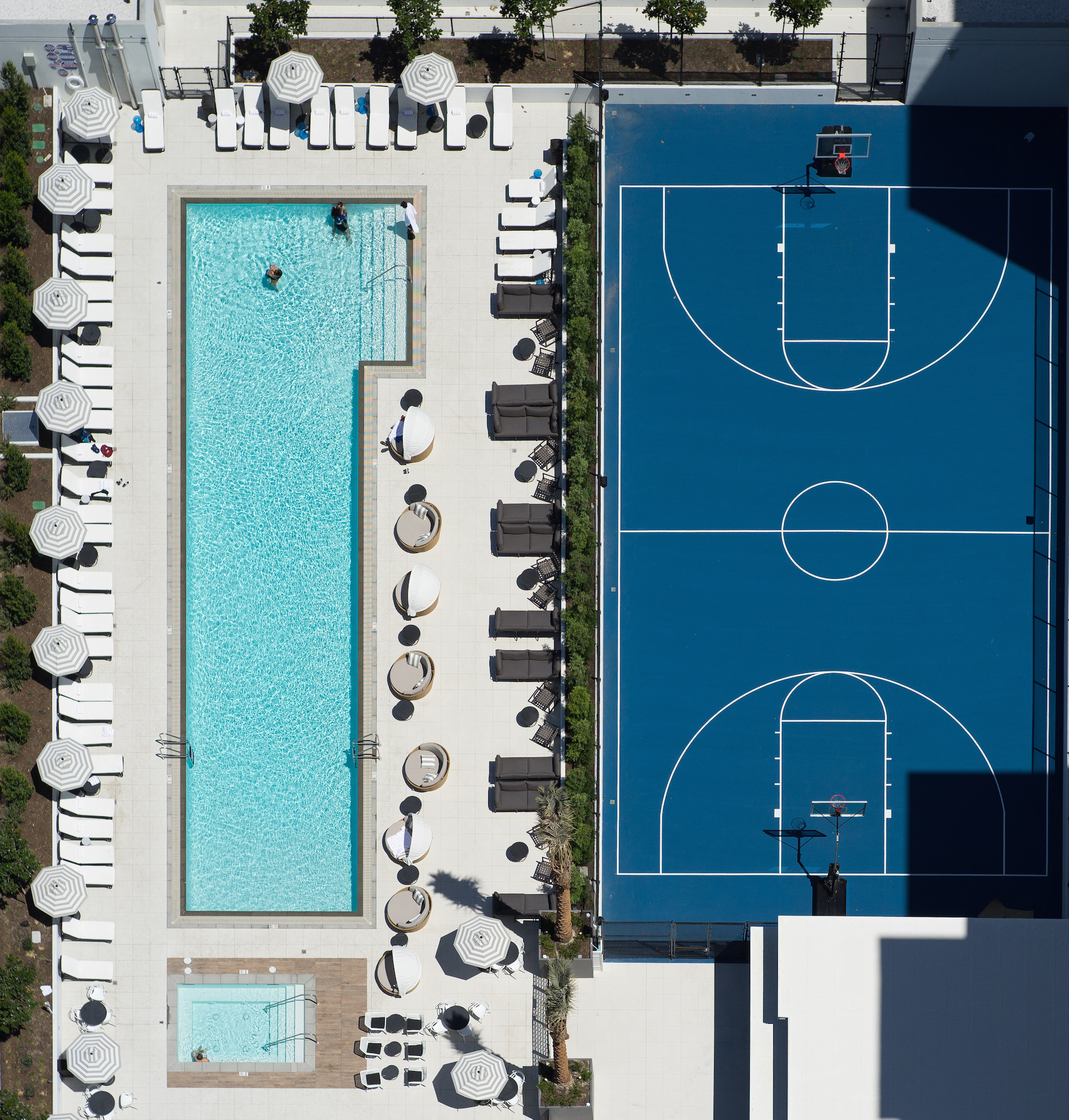 Sports and Entertainment