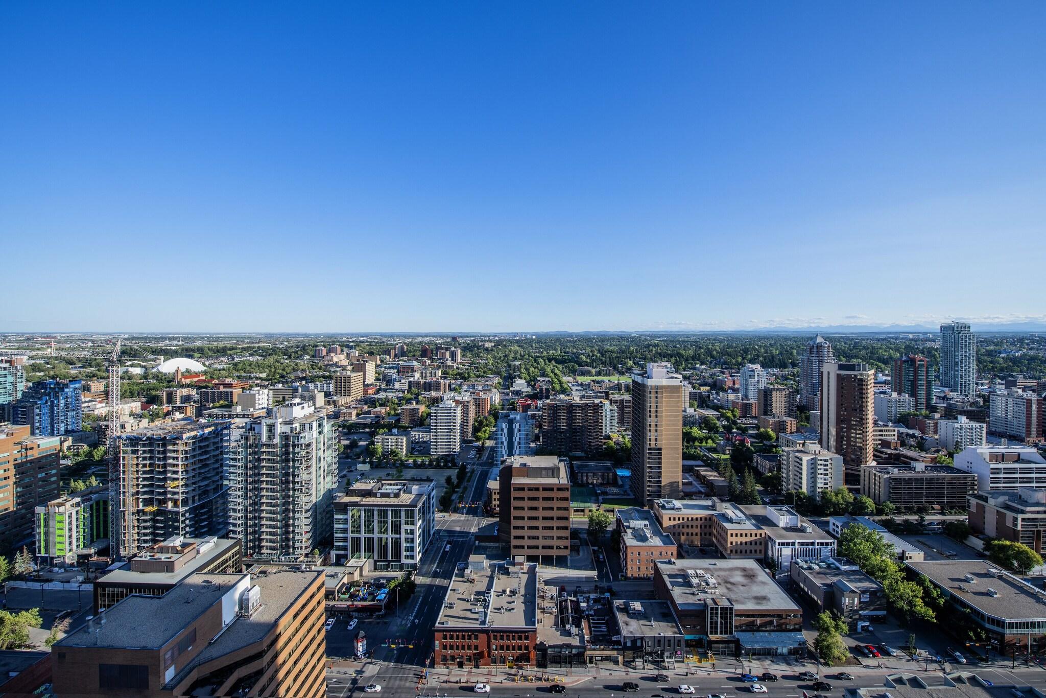 Studio Mountain View