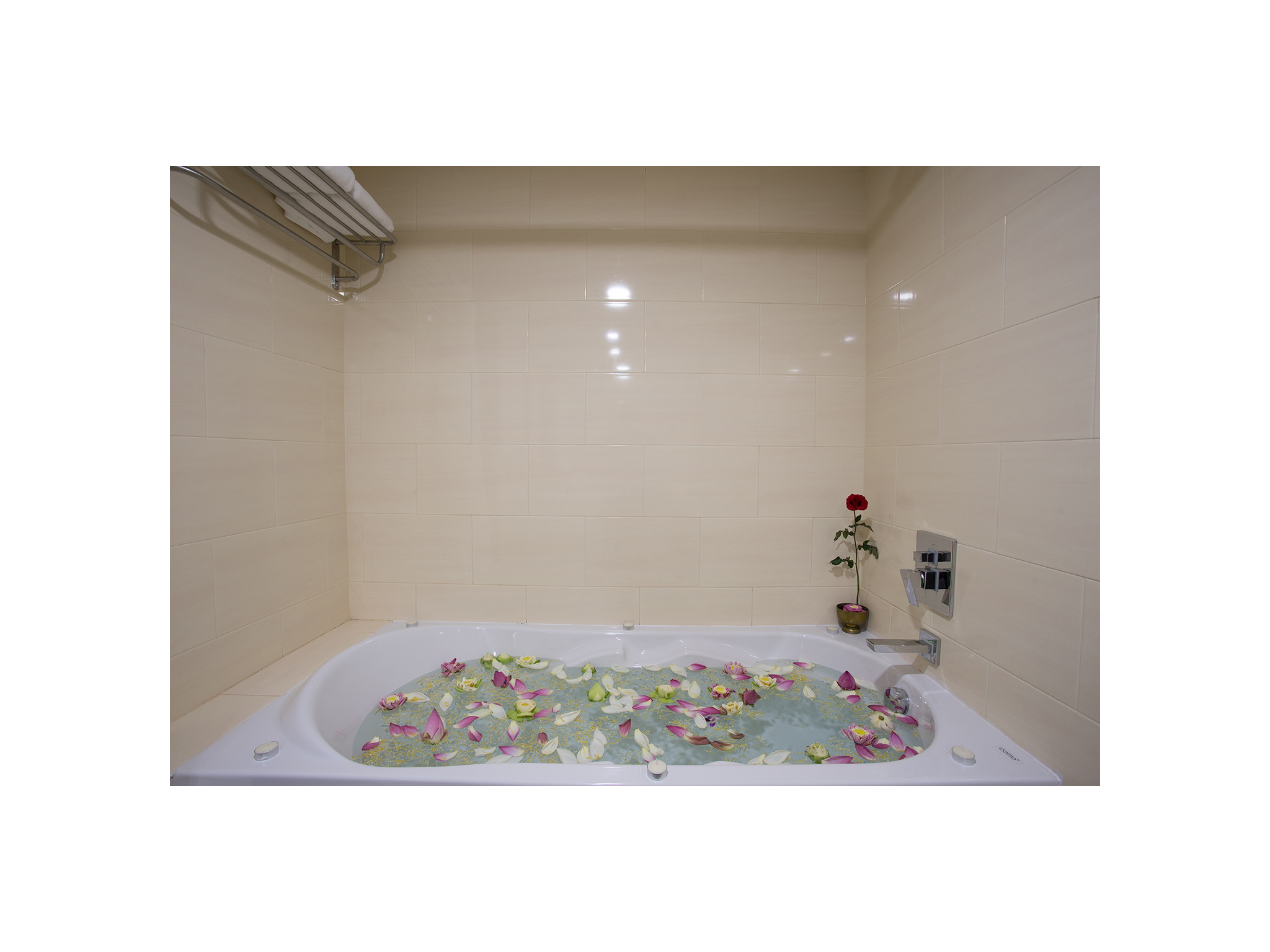 Double Deluxe Pool View