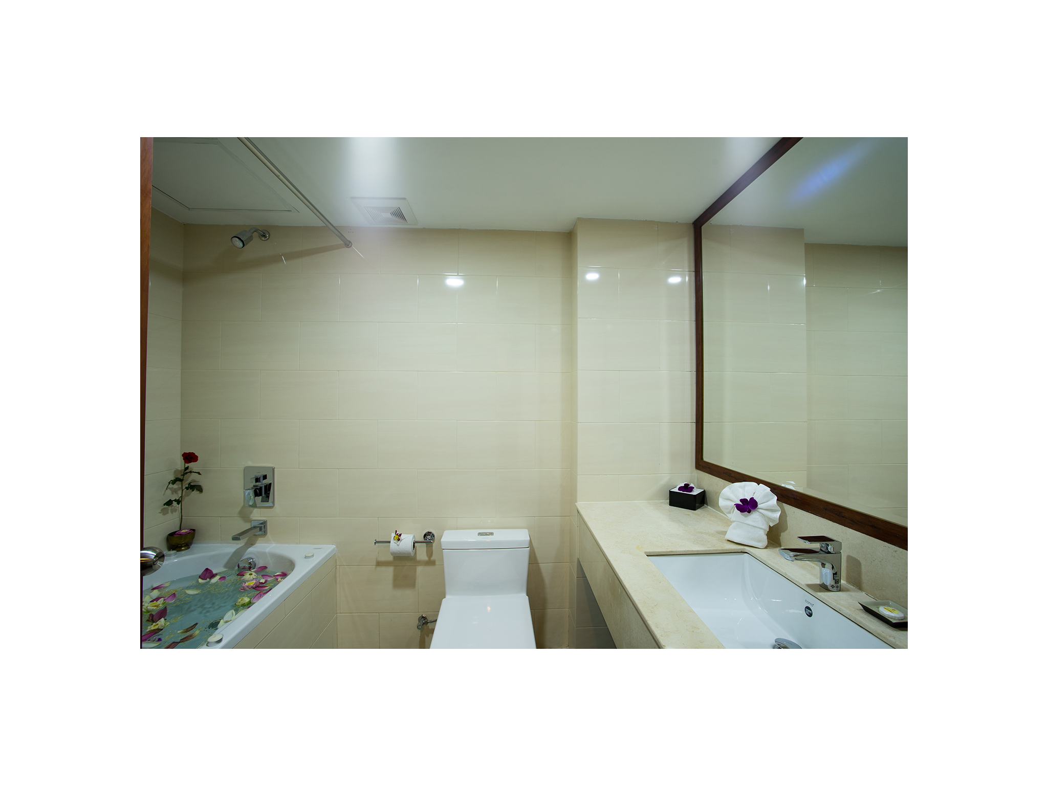 Double Deluxe Pool View