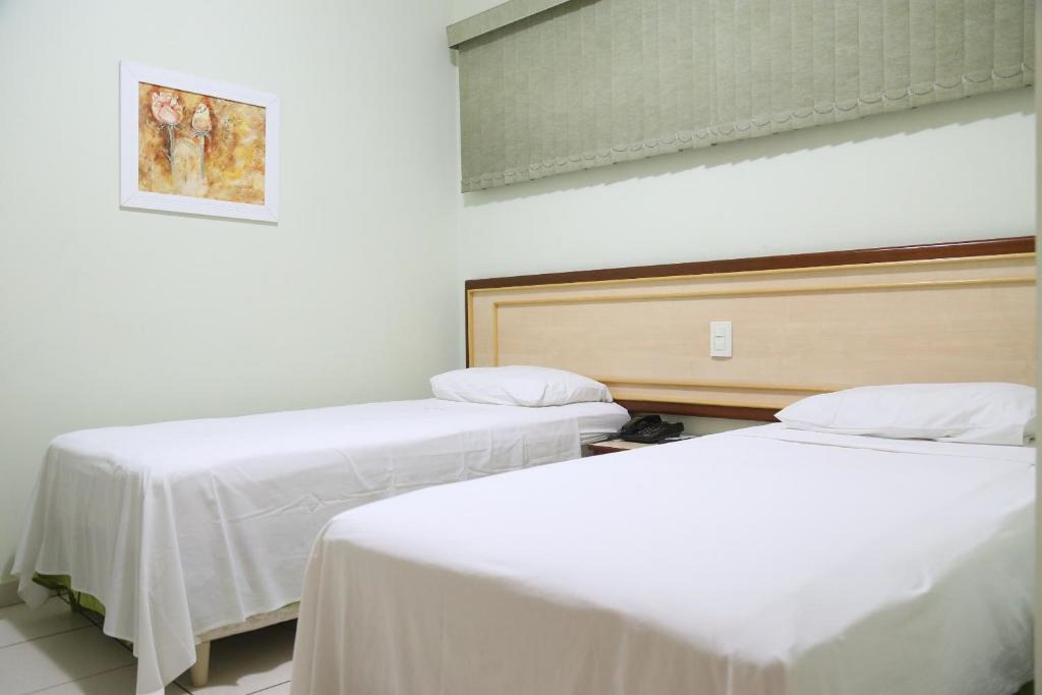 Double or Twin Standard