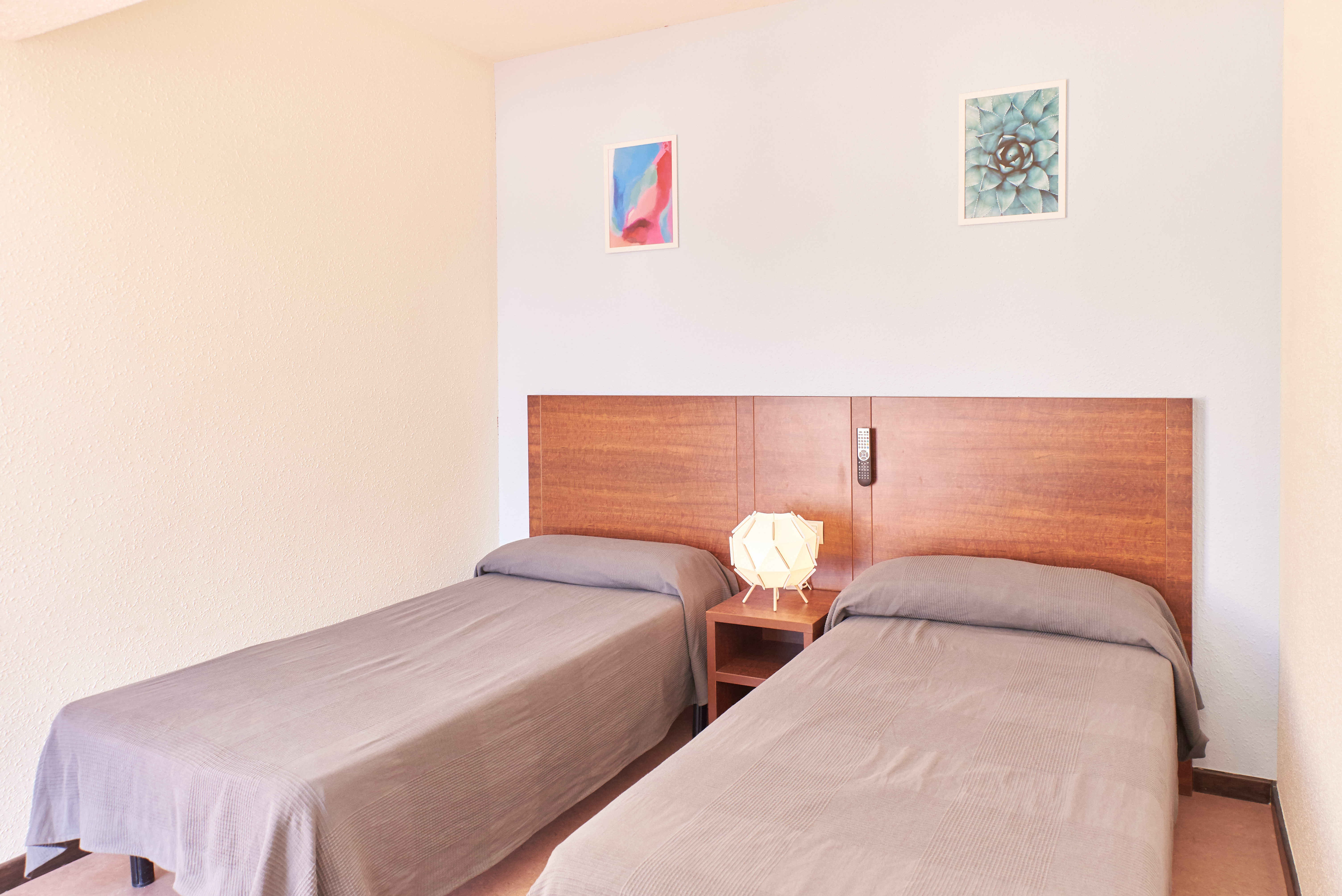 Double or Twin Standard