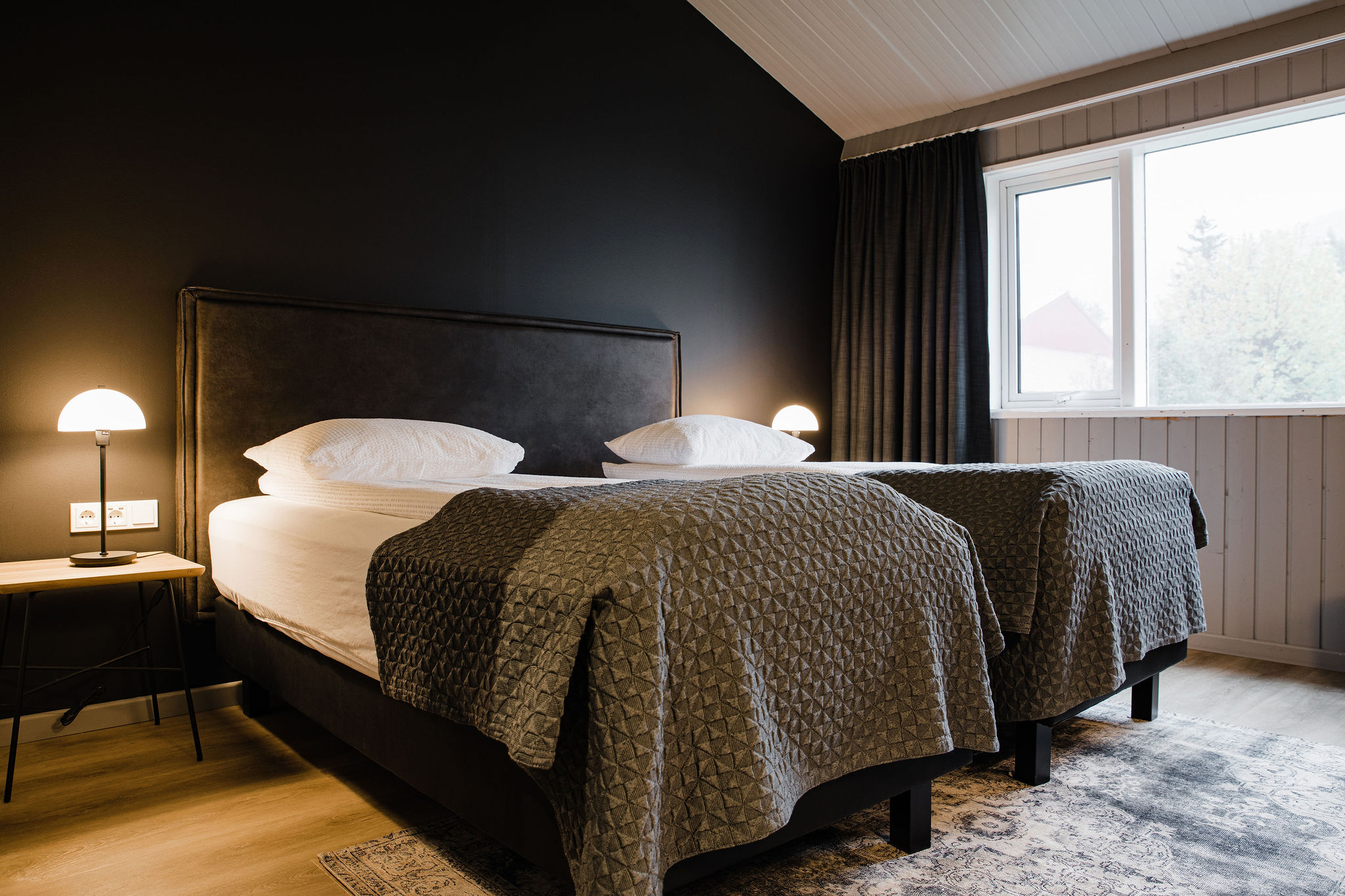 Double or Twin Standard