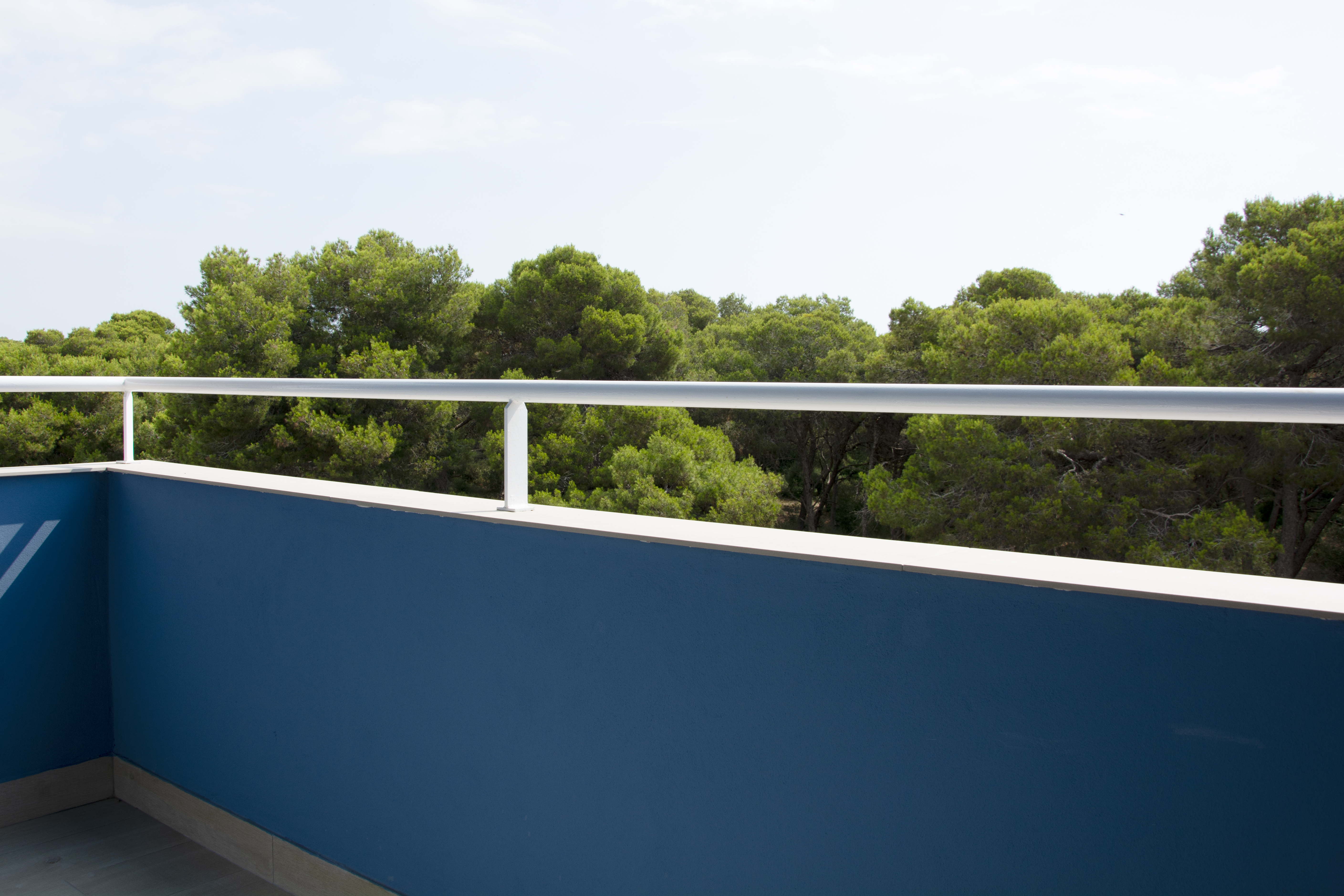 Double or Twin Economy