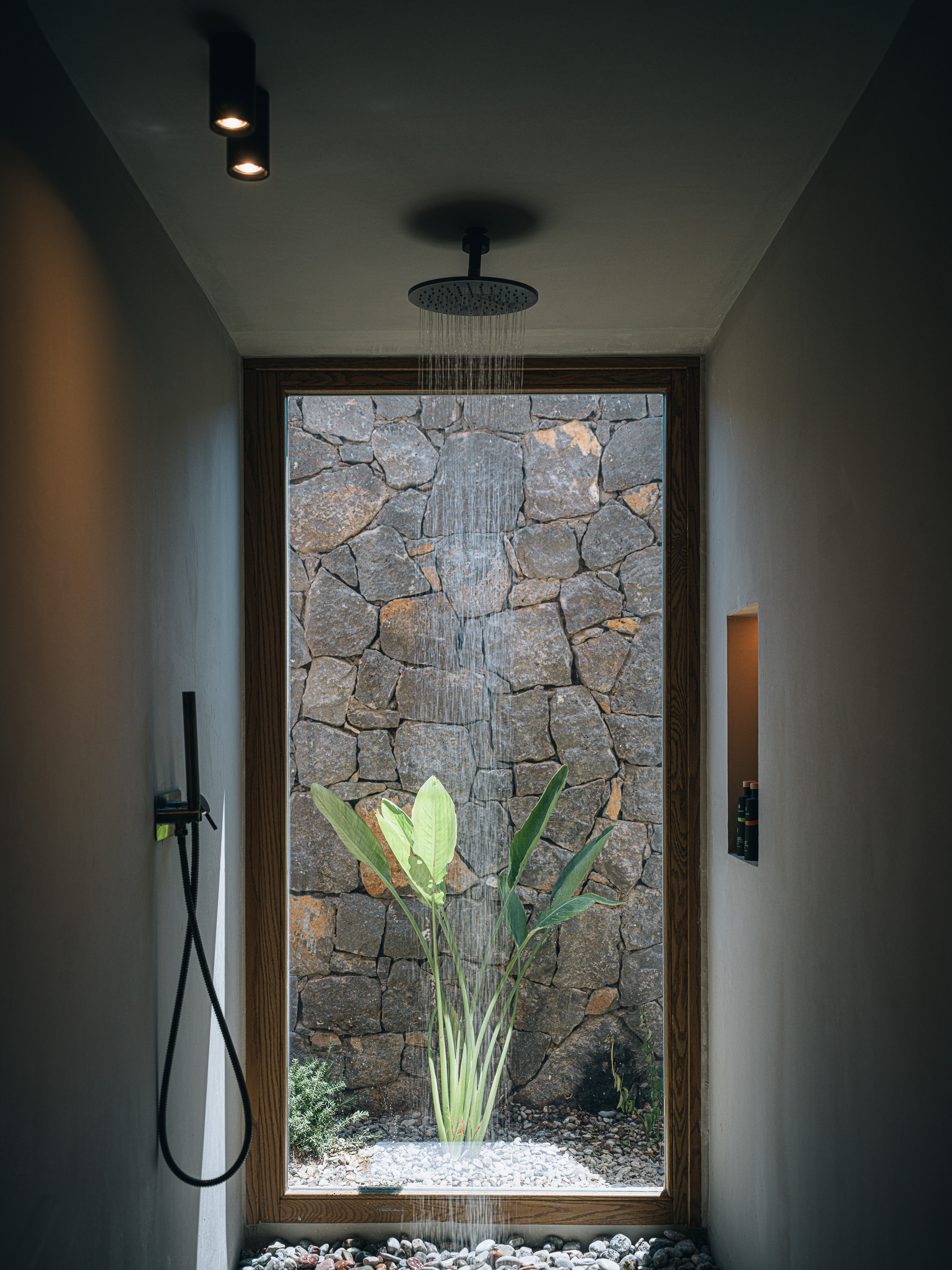 Suite King Bed One Bedroom 